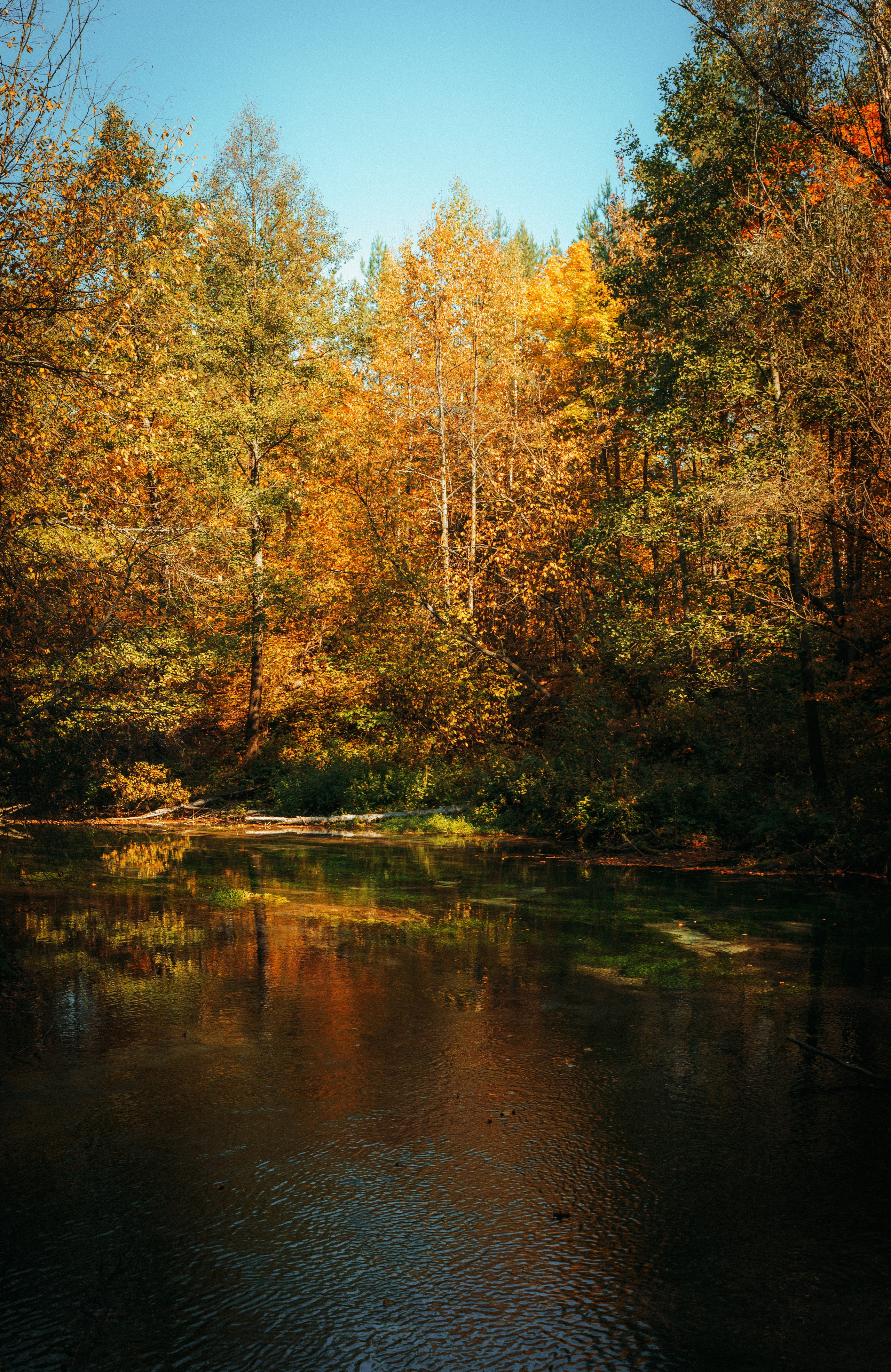 Good Friends Trip / команда локальных путешествий. Саша Копылов, фотограф в Казани