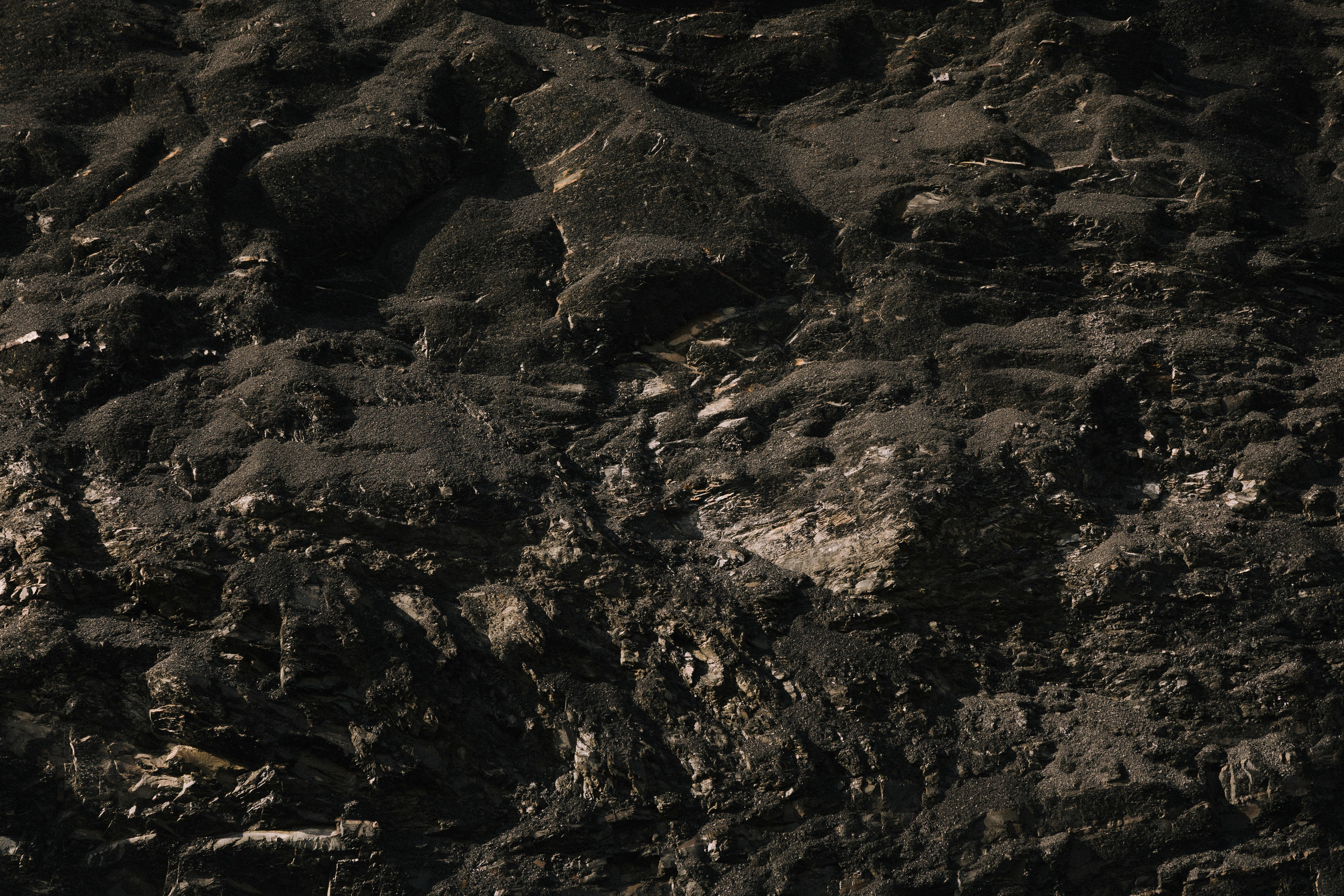 Мы — начало. Свадебный и репортажный фотограф Новороссийск, Краснодар, Сочи Олеся Дзюба