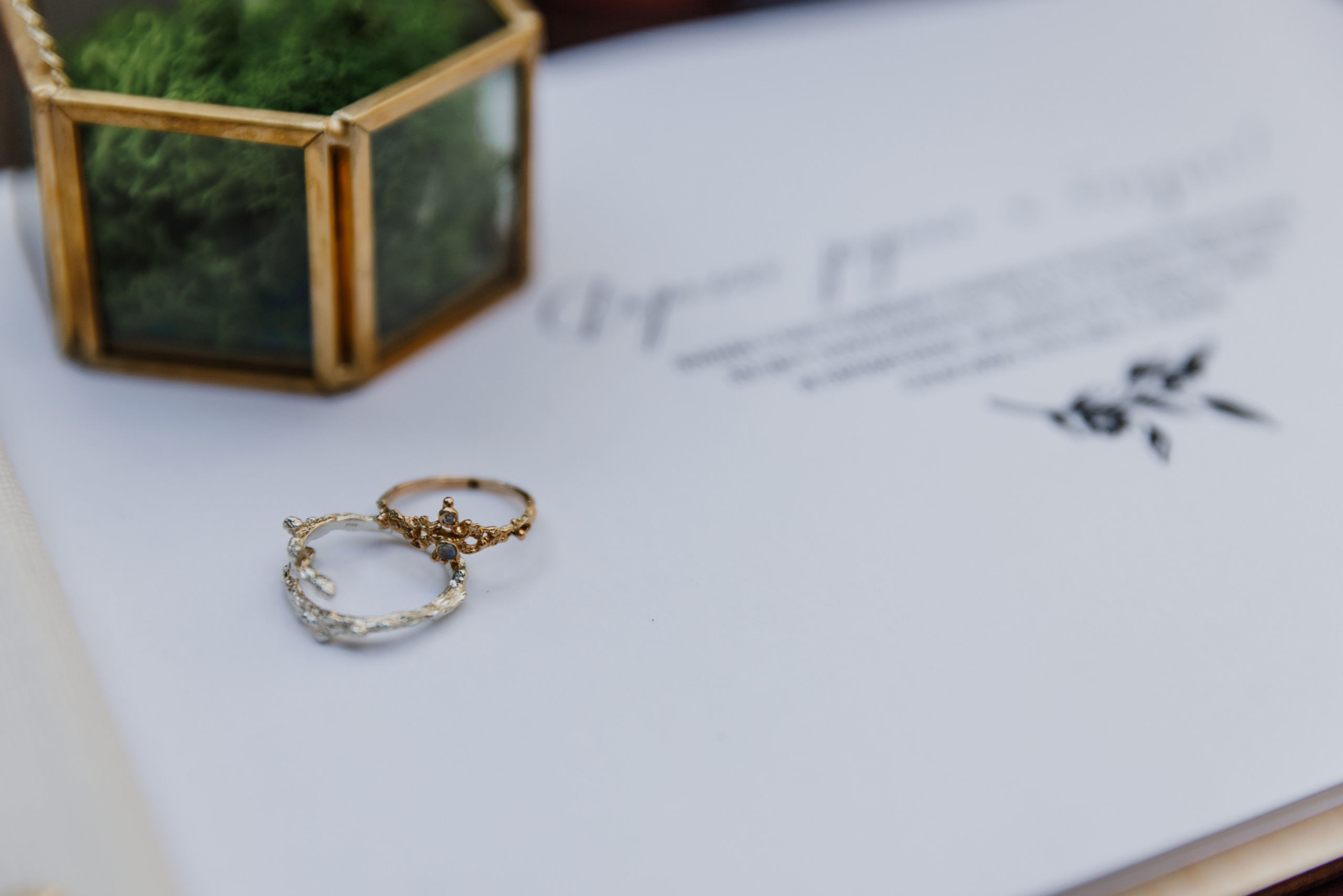 Татьяна и Владимир. Фотограф Москва Шептаев Артём