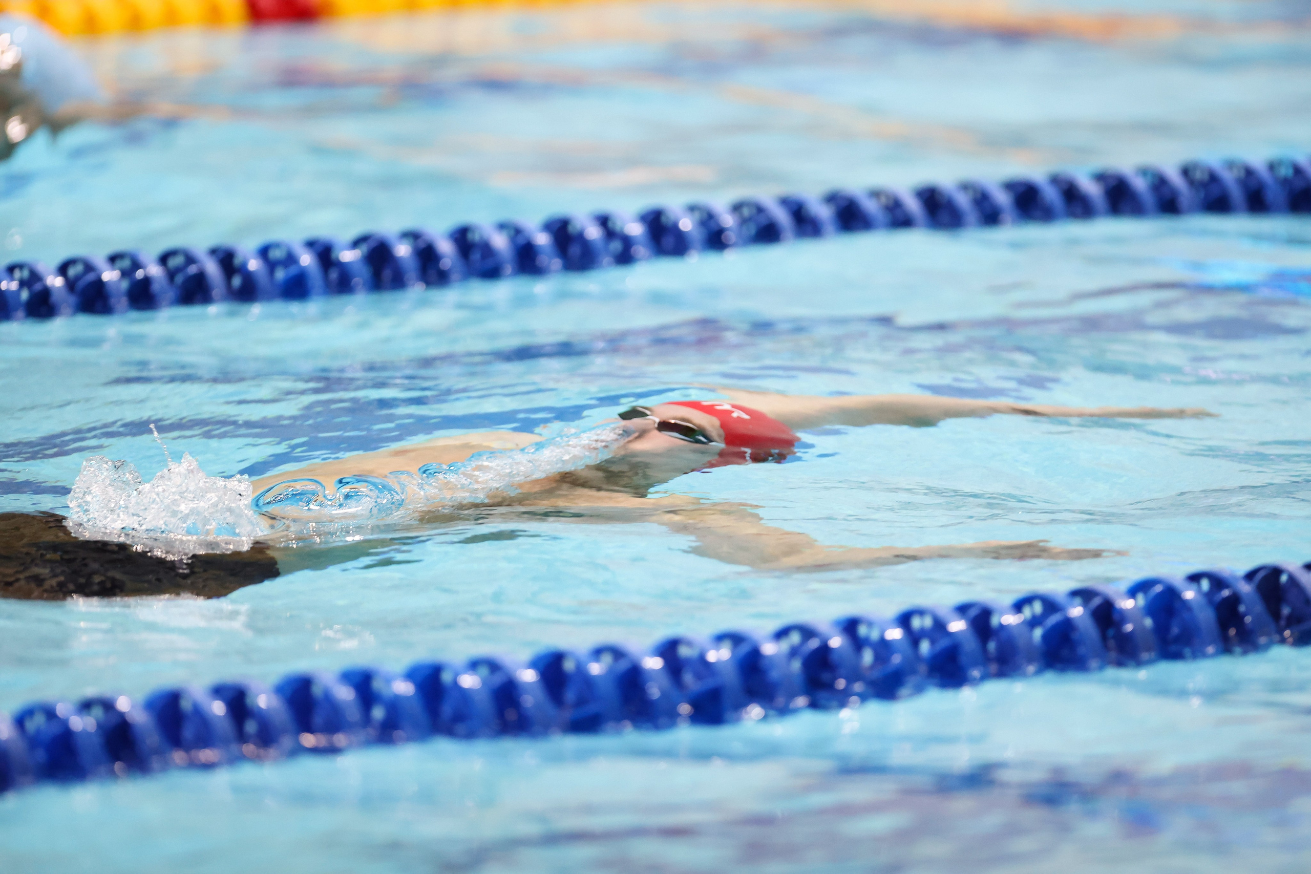 Чемпионат России по плаванию 25 м 20-25.11.2023. Спортивный и репортажный фотограф Антон Тереханов