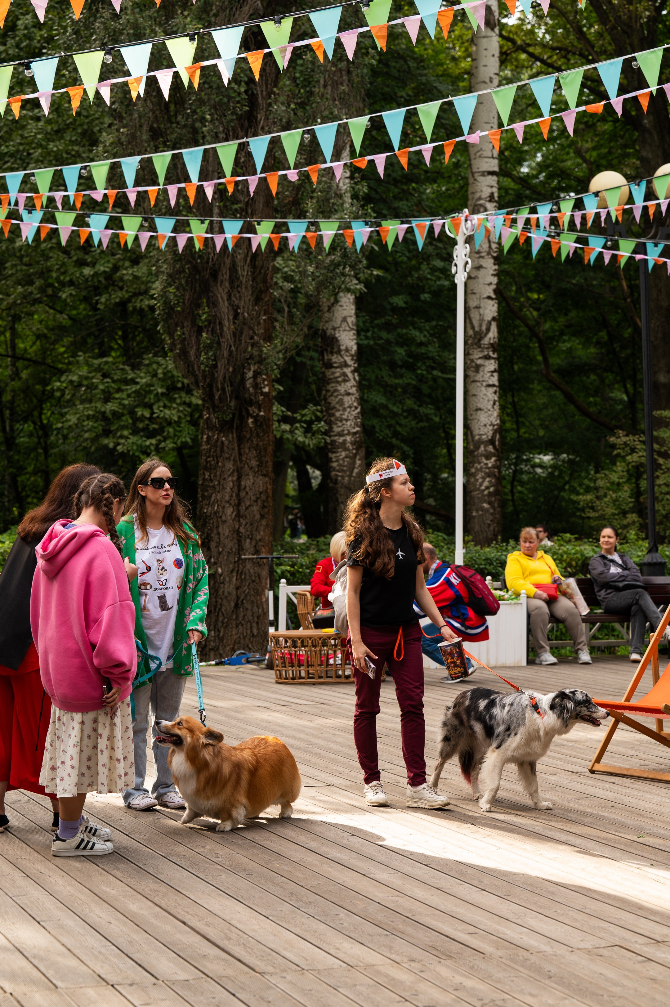 4lapy fest 2025. Photographer in Moscow Anna Chistiakova