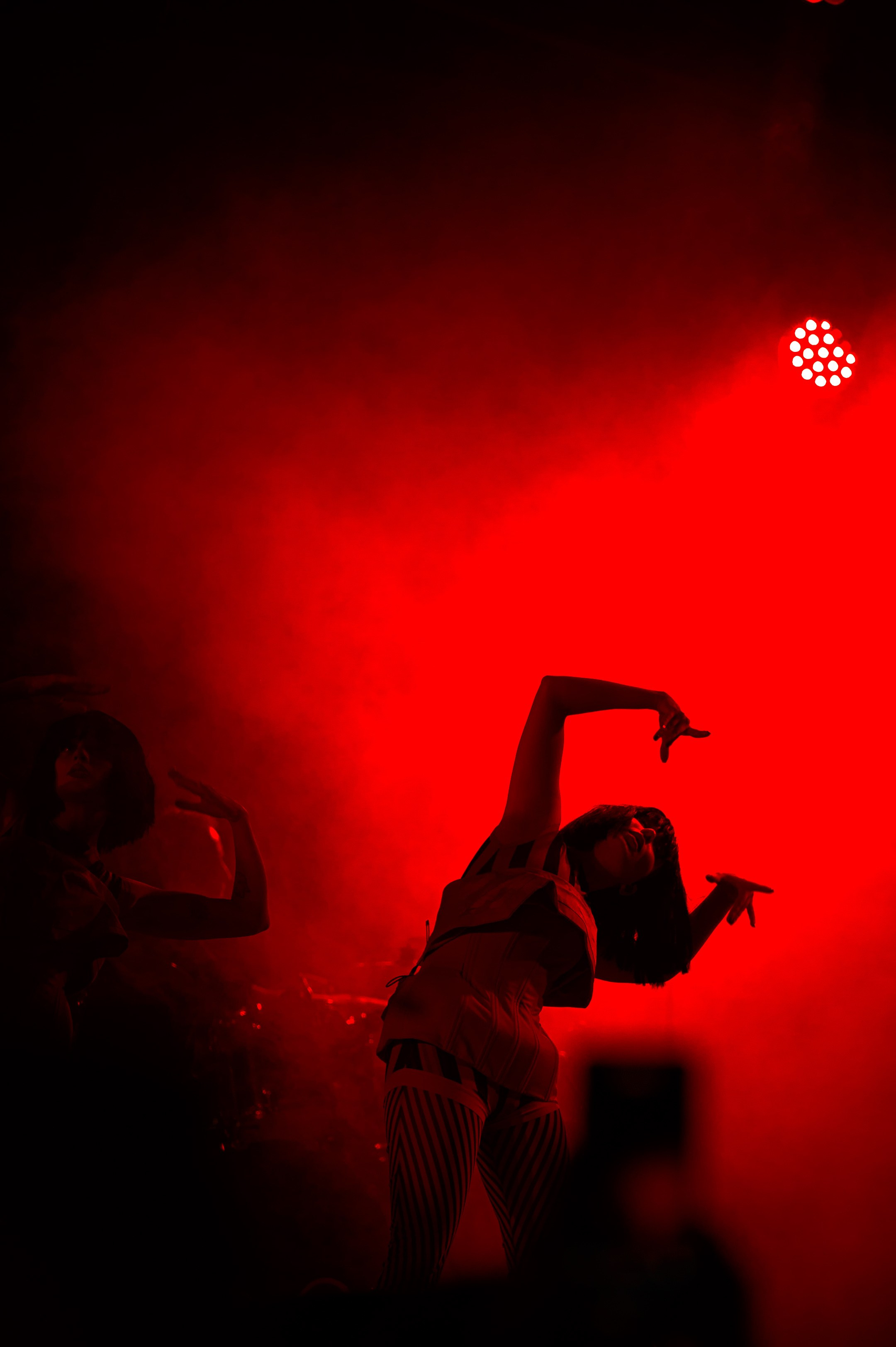 4lapy fest 2025. Photographer in Moscow Anna Chistiakova