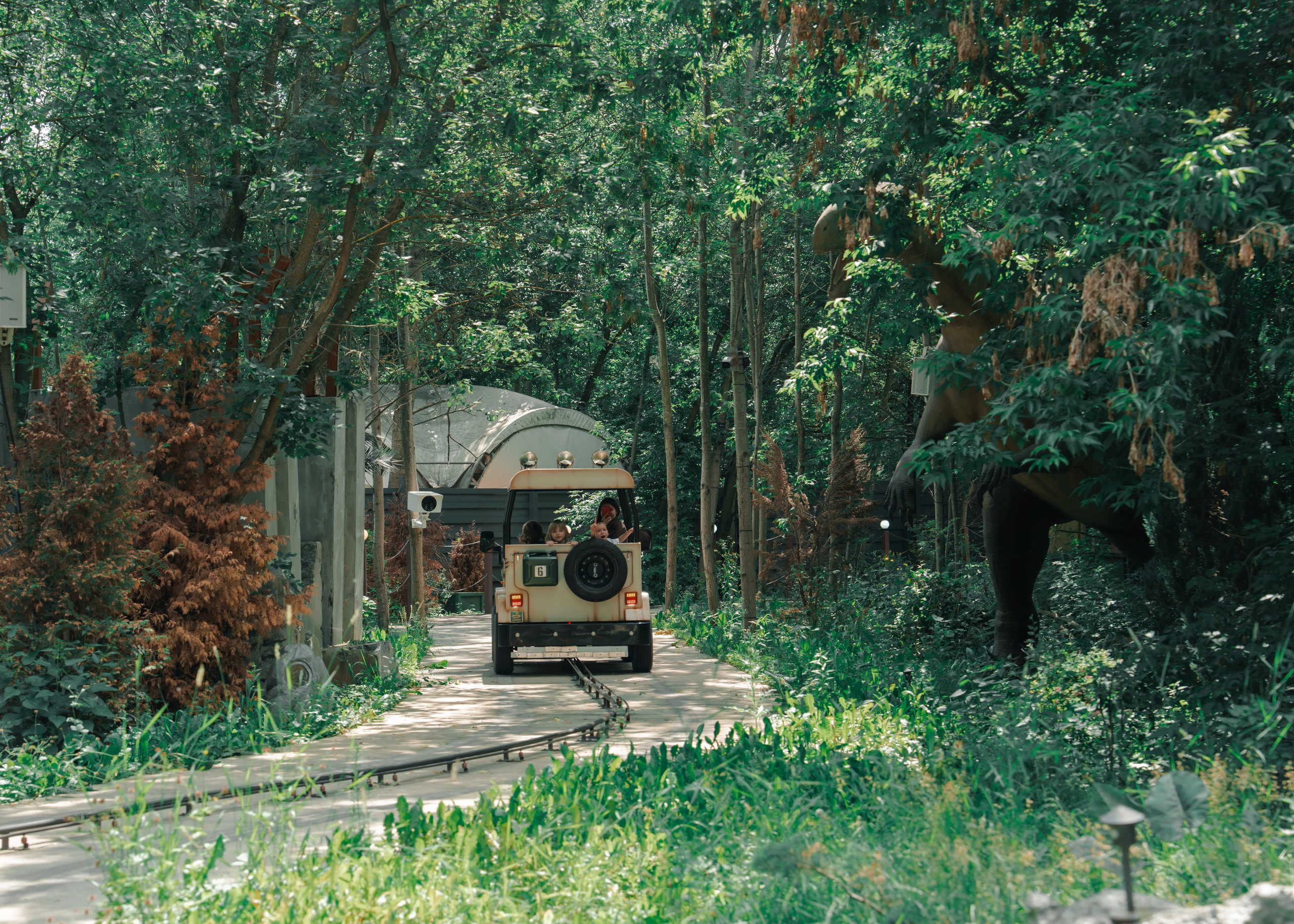 Веселье без границ. Крамер Юлиана детский и семейный фотограф