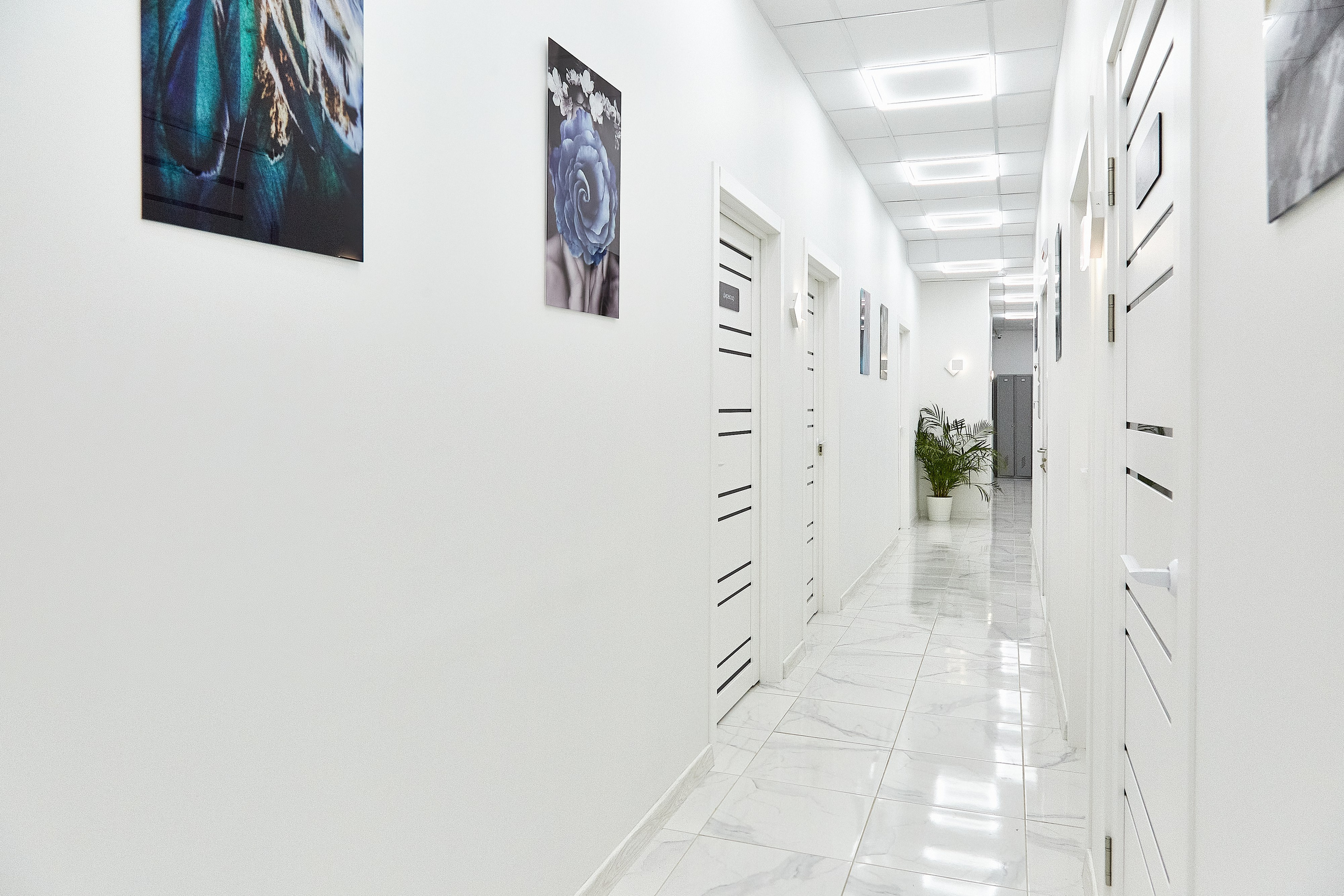 Стоматология Диадема. Фотограф Анастасия Леонтьева Санкт-Петербург