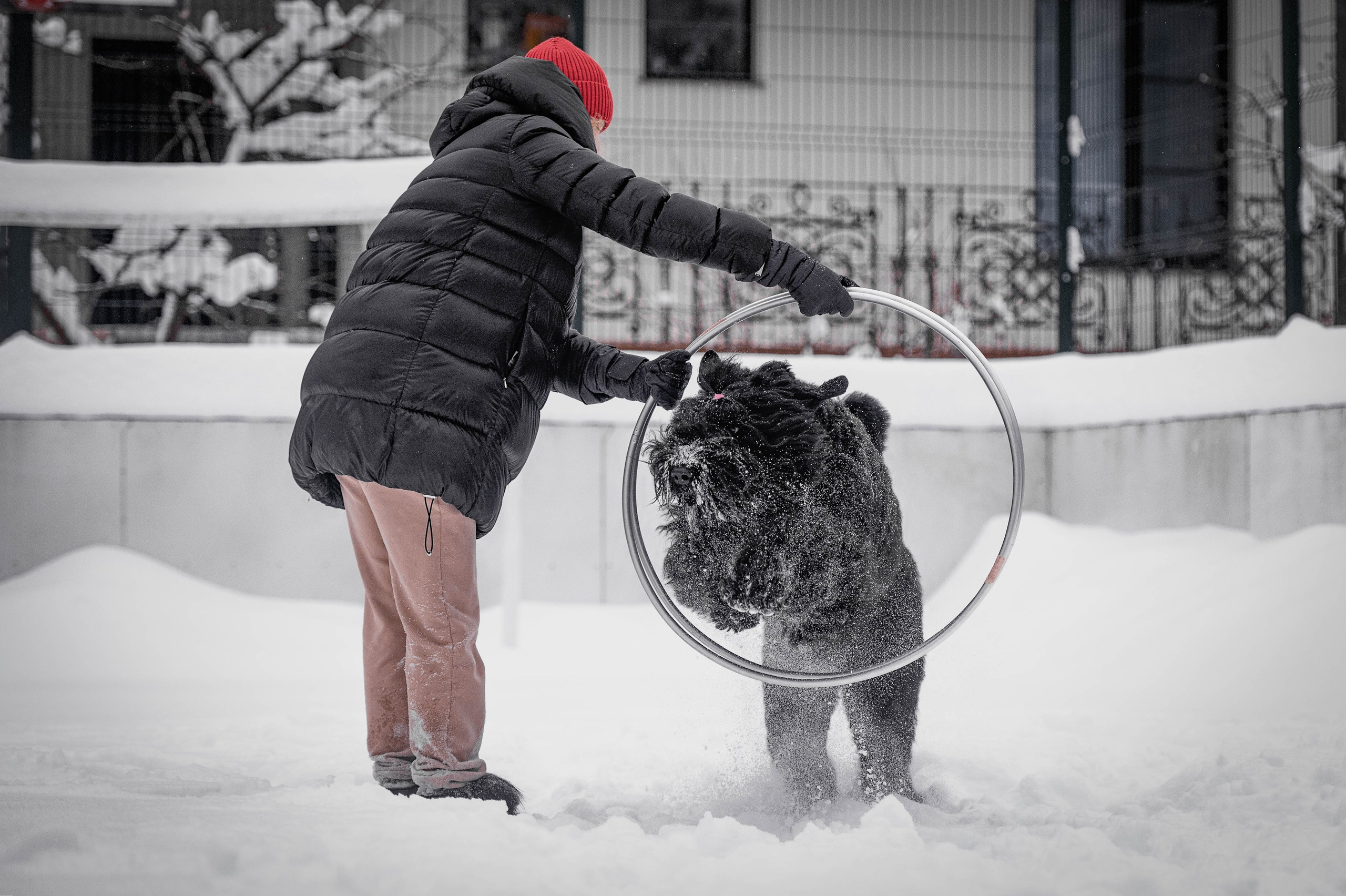 Клео. Фотограф-анималист