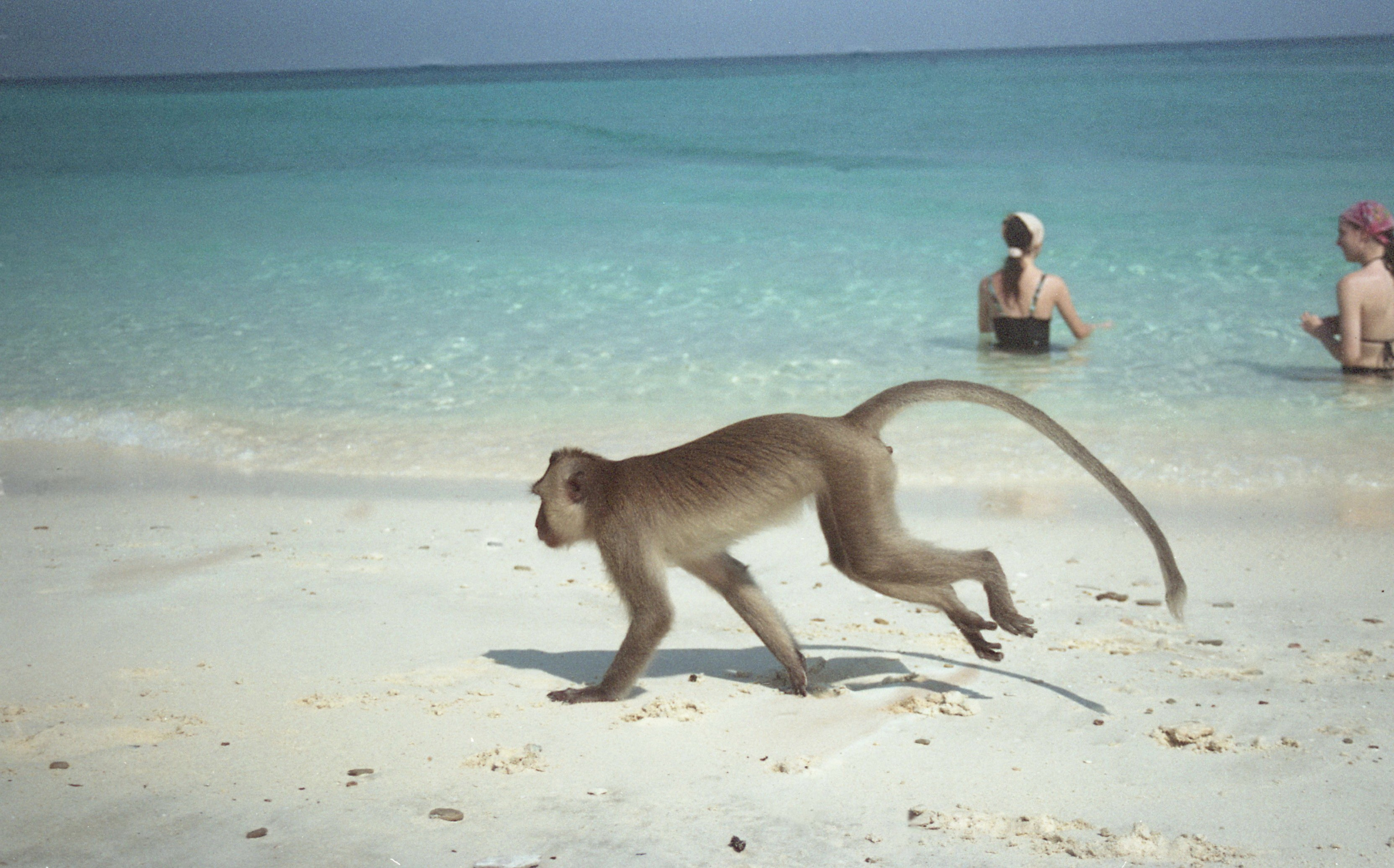 Тайланд. Елена Никитина. Фотохудожник. Пленочная фотография. Принты