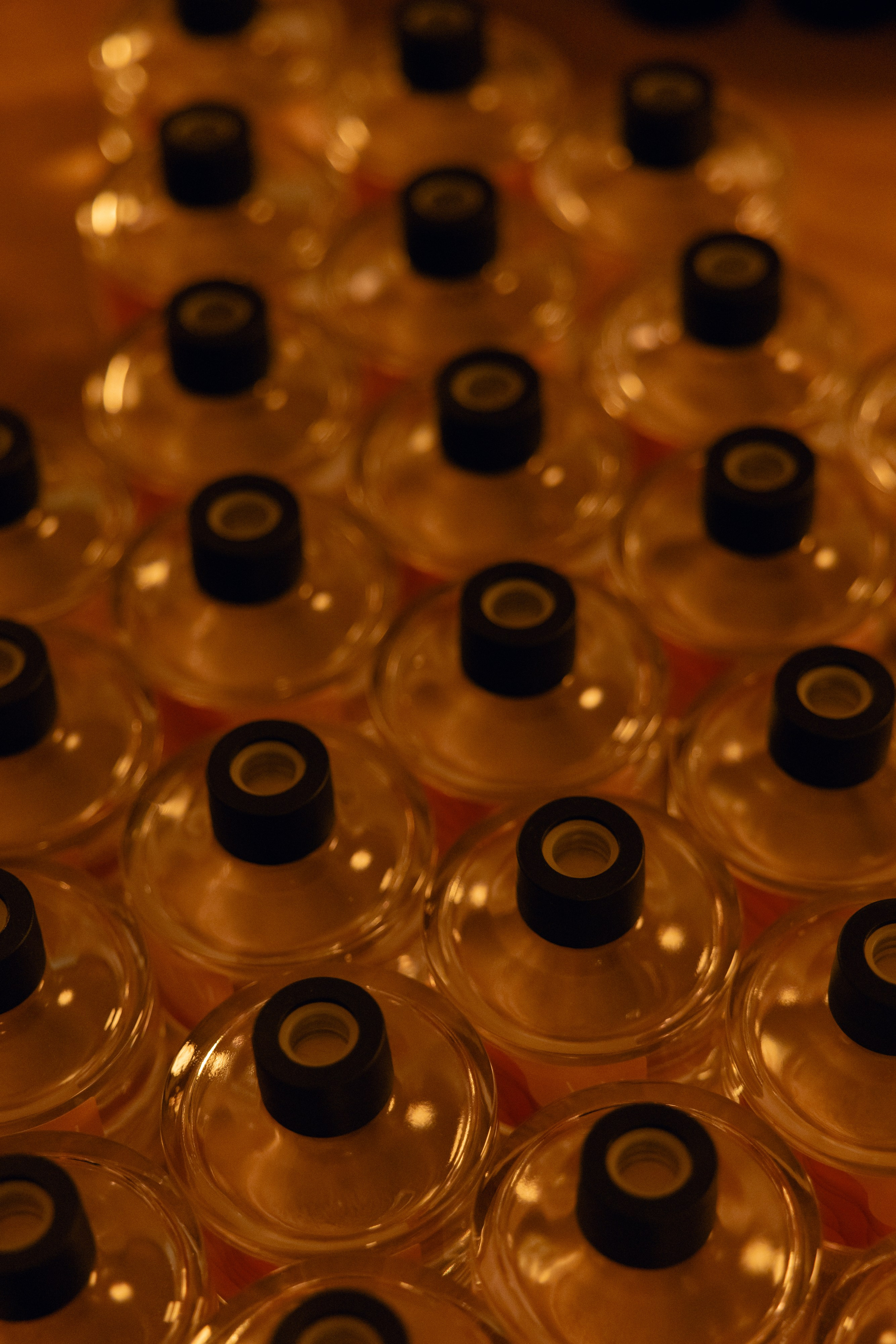 @fruits_family_wedding. Свадебный и репортажный фотограф в Москве Владимир Сергеев | Naysaikolo