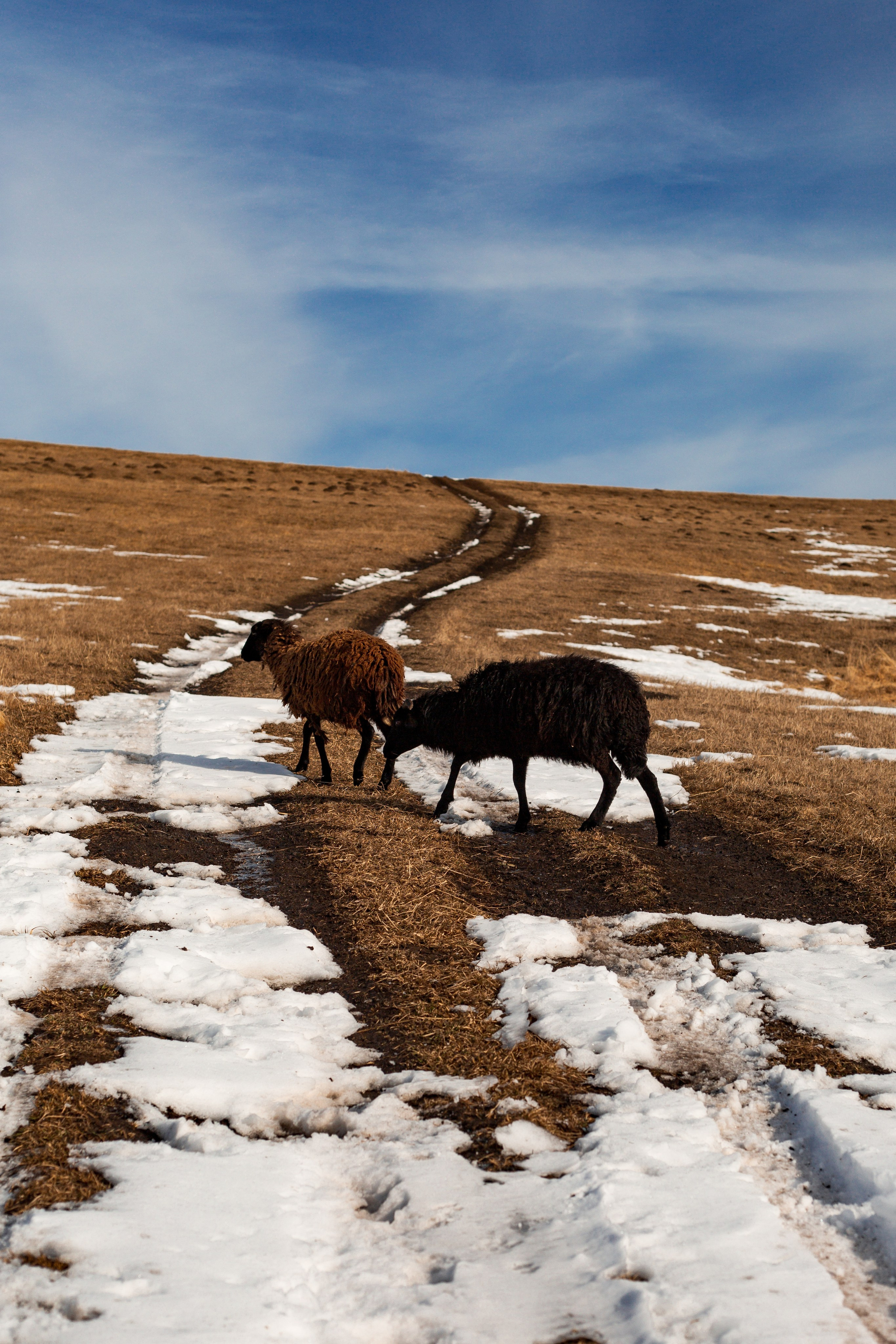 Поездки по России. Трандин Иван Фотограф СПб