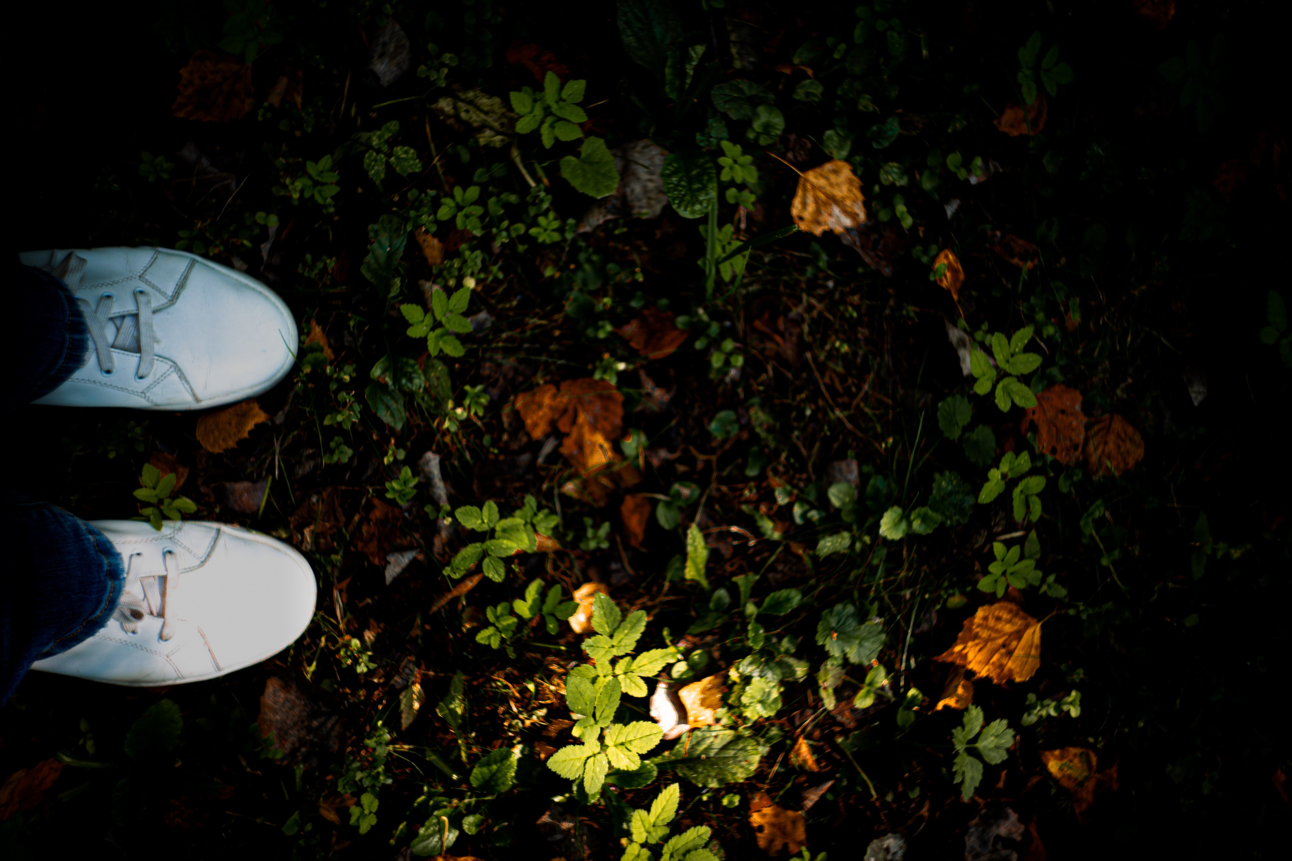 Сентябрь 2024. Efremovaphoto.ru