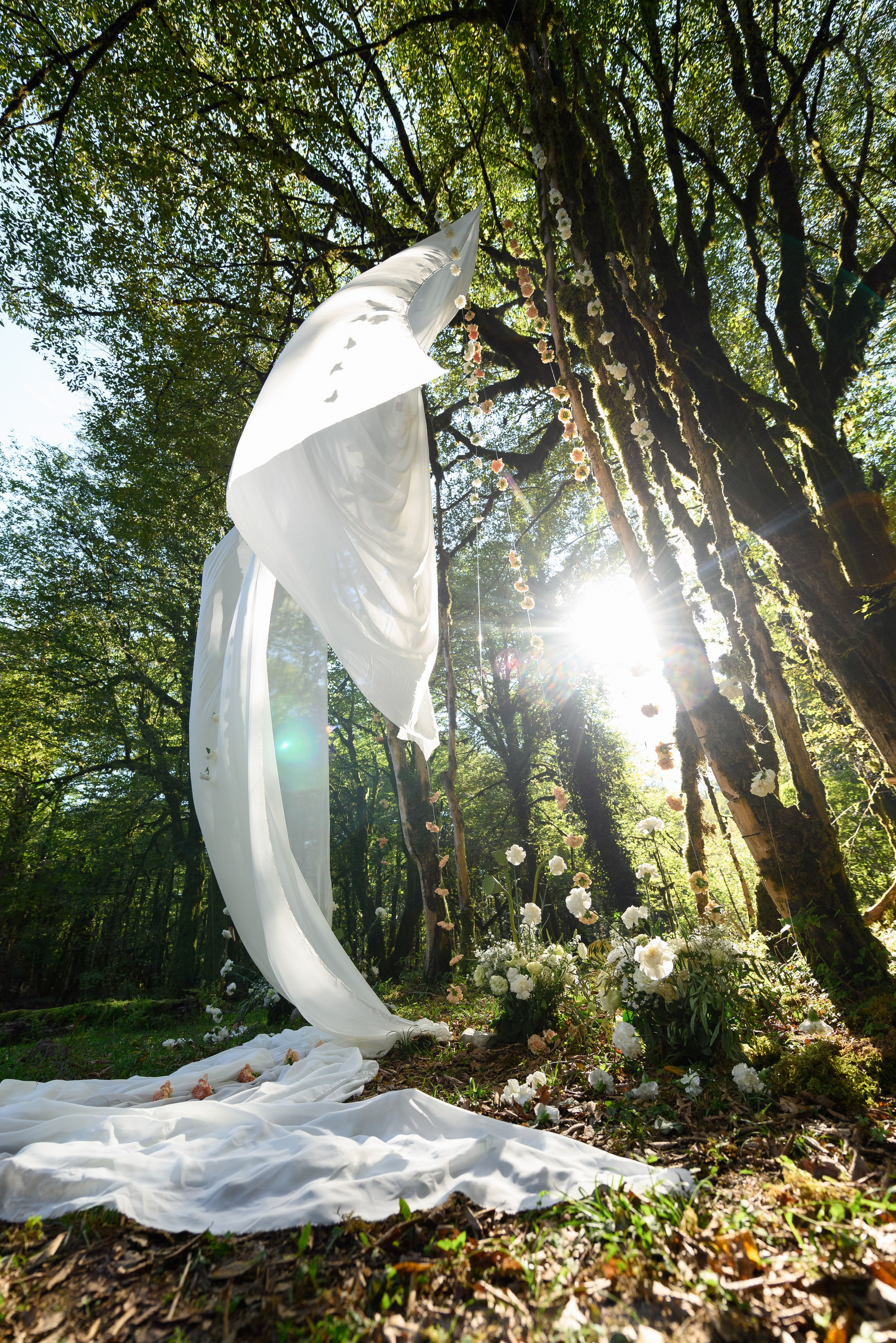 Большое дерево с которого как бы спускается Белая ткань которая развивается на ветру и сквозь ветви пробивается солнечный свет 