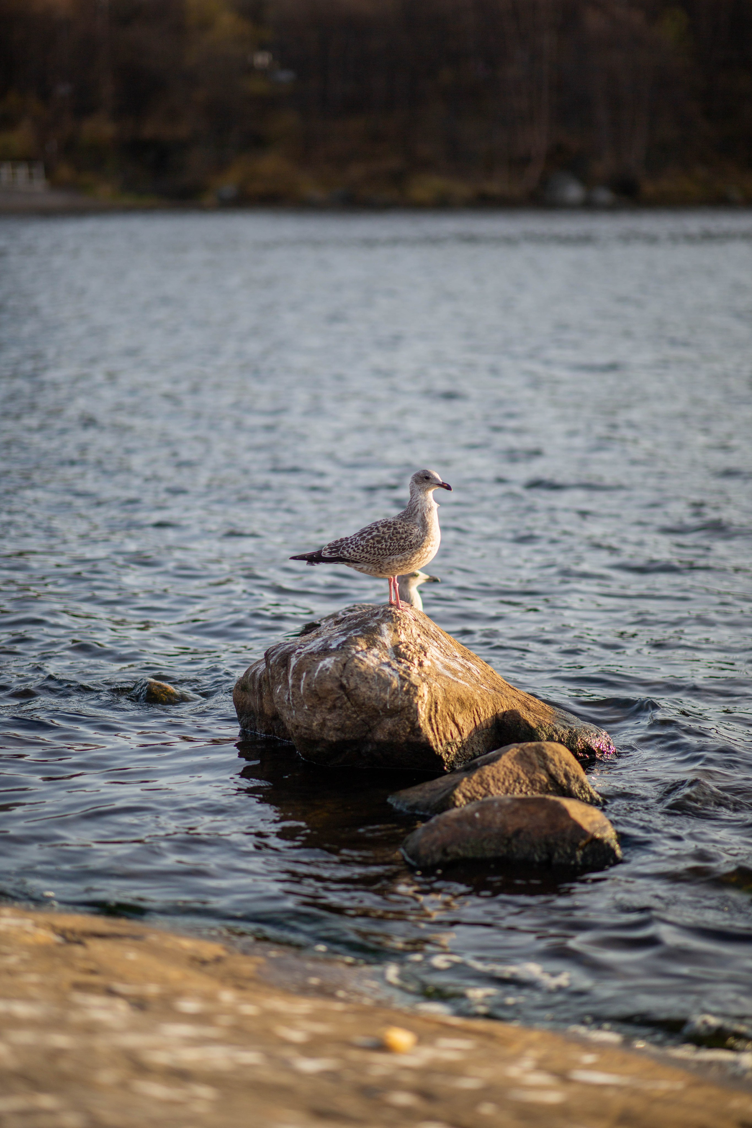 Мурманск. Репортажный и портретный фотограф Михаил Мартиросян