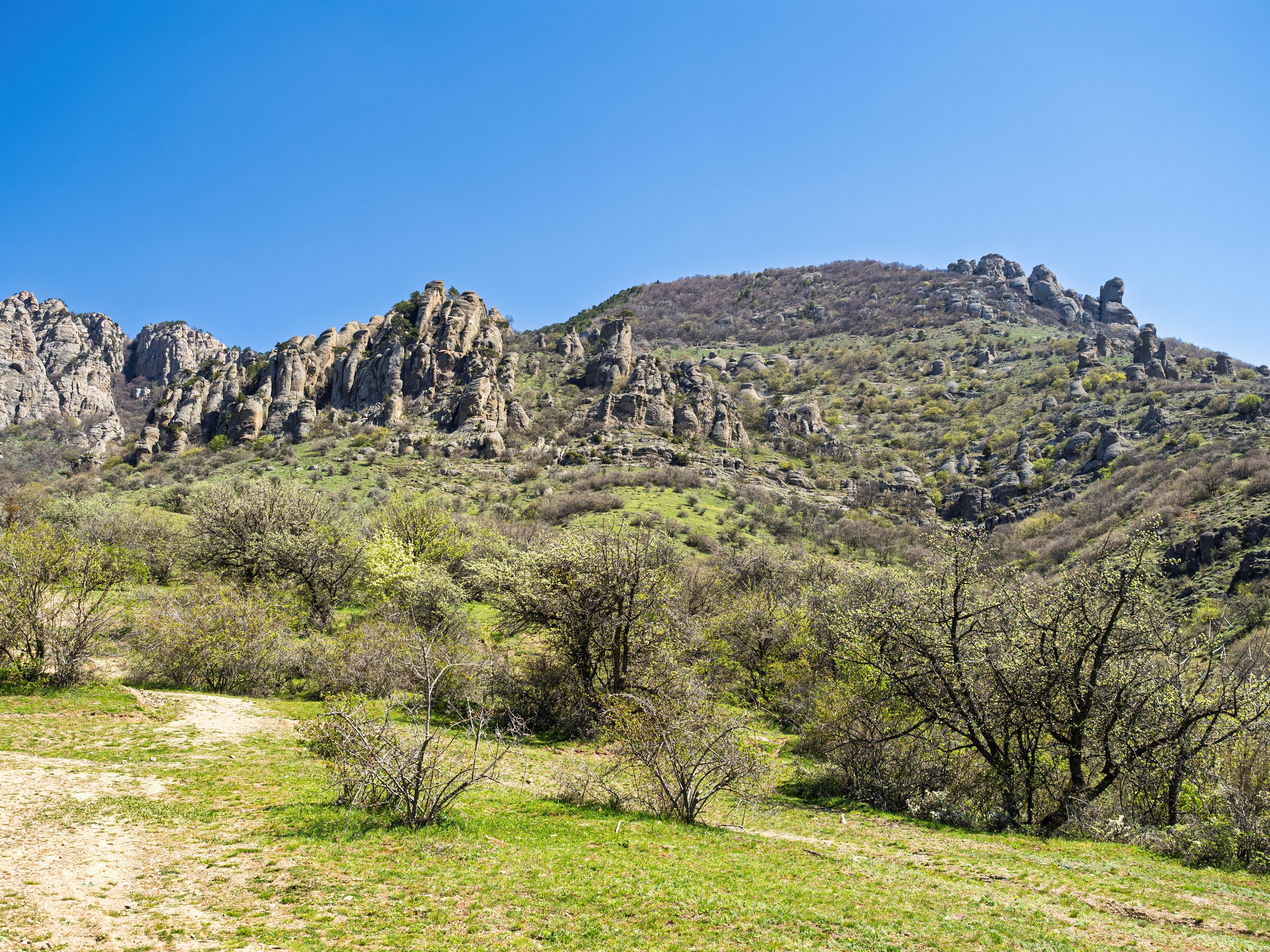 Крым, Утес, 2021 год. Фотограф Никифоров-Гордеев Сергей. Москва и МО