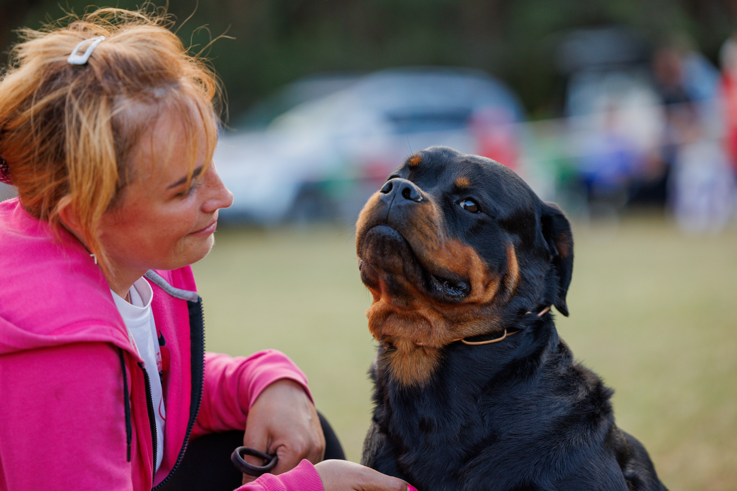 ПК и КЧК ротвейлеры Тверь 6-7.07.2024. Фотограф-анималист Юлия Германика
