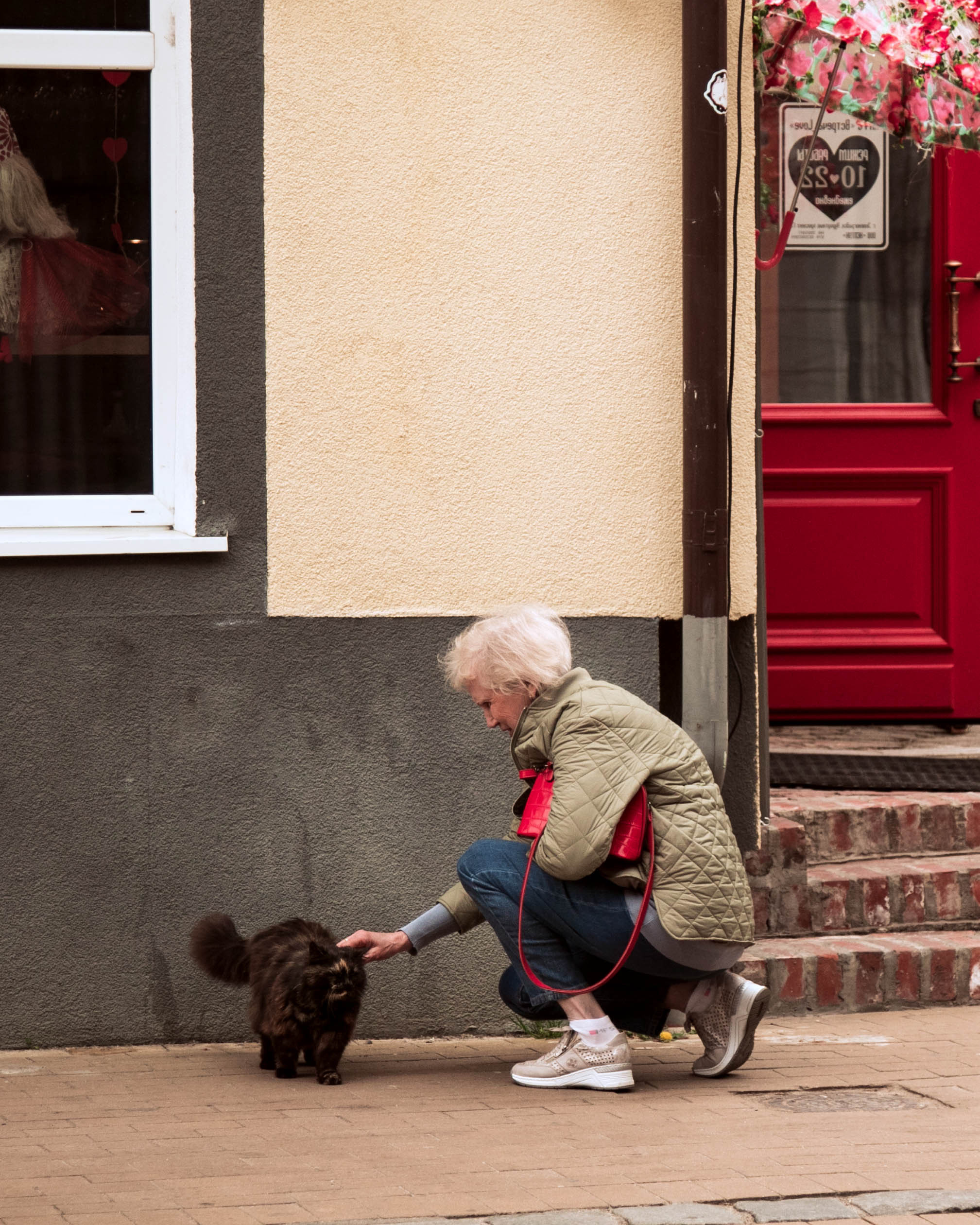 гладим котиков на улочках Зеленоградска