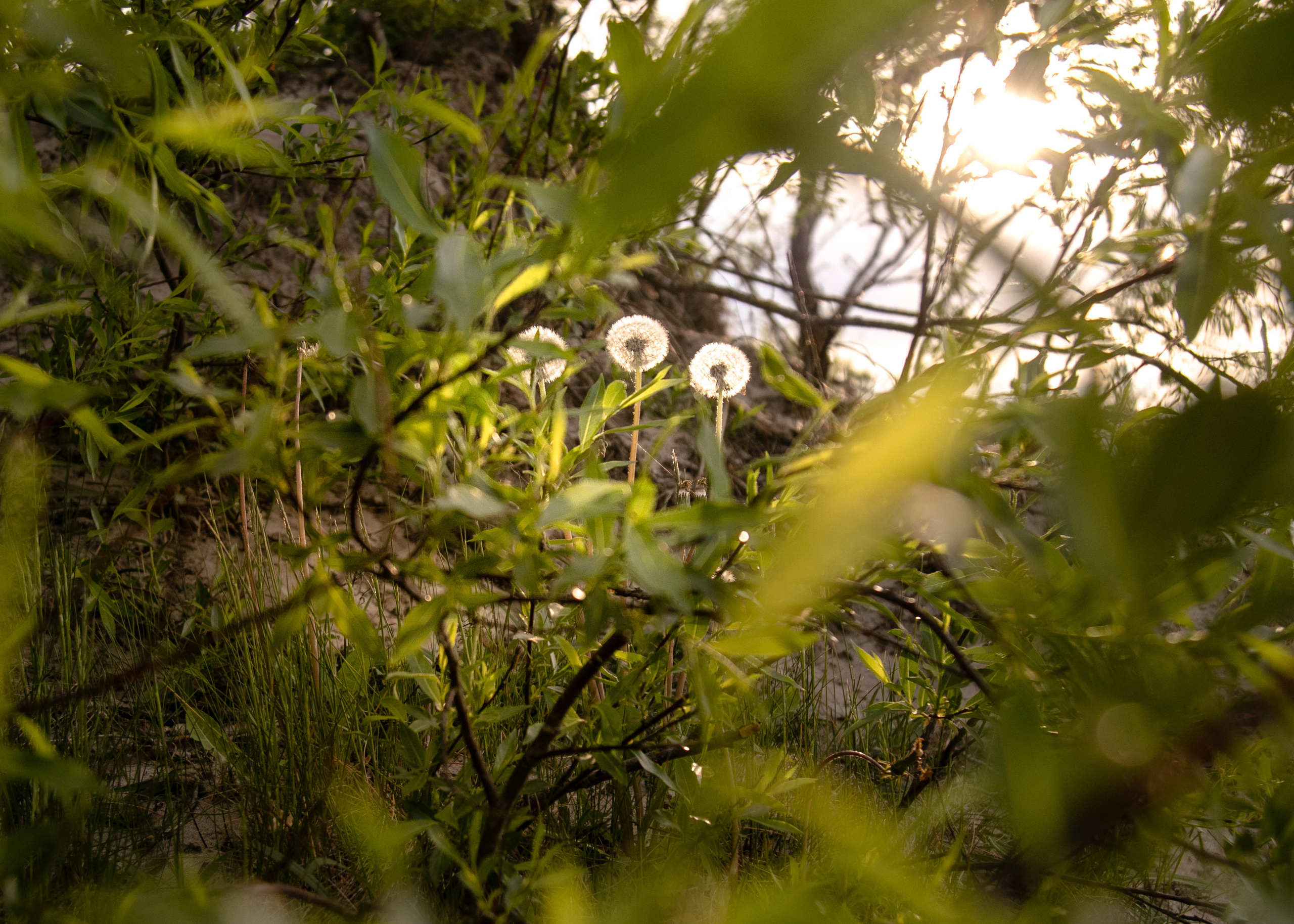 Перезагрузка. Фотограф Зеленоградск Лиана Сопина