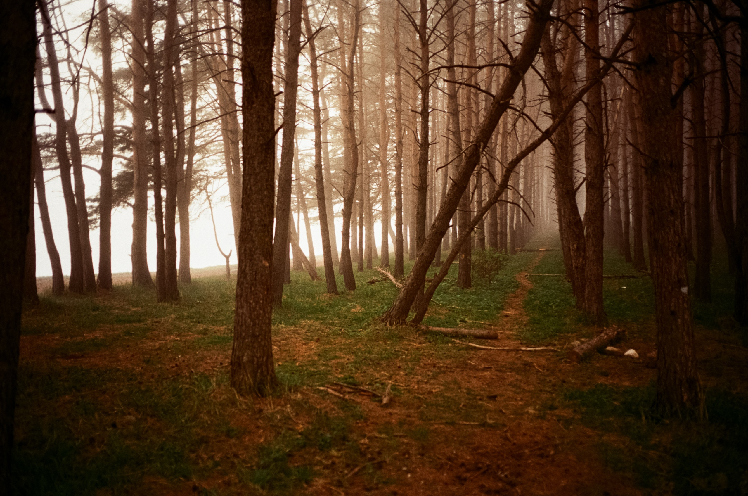 Кавказские Минеральные Воды | май 2024