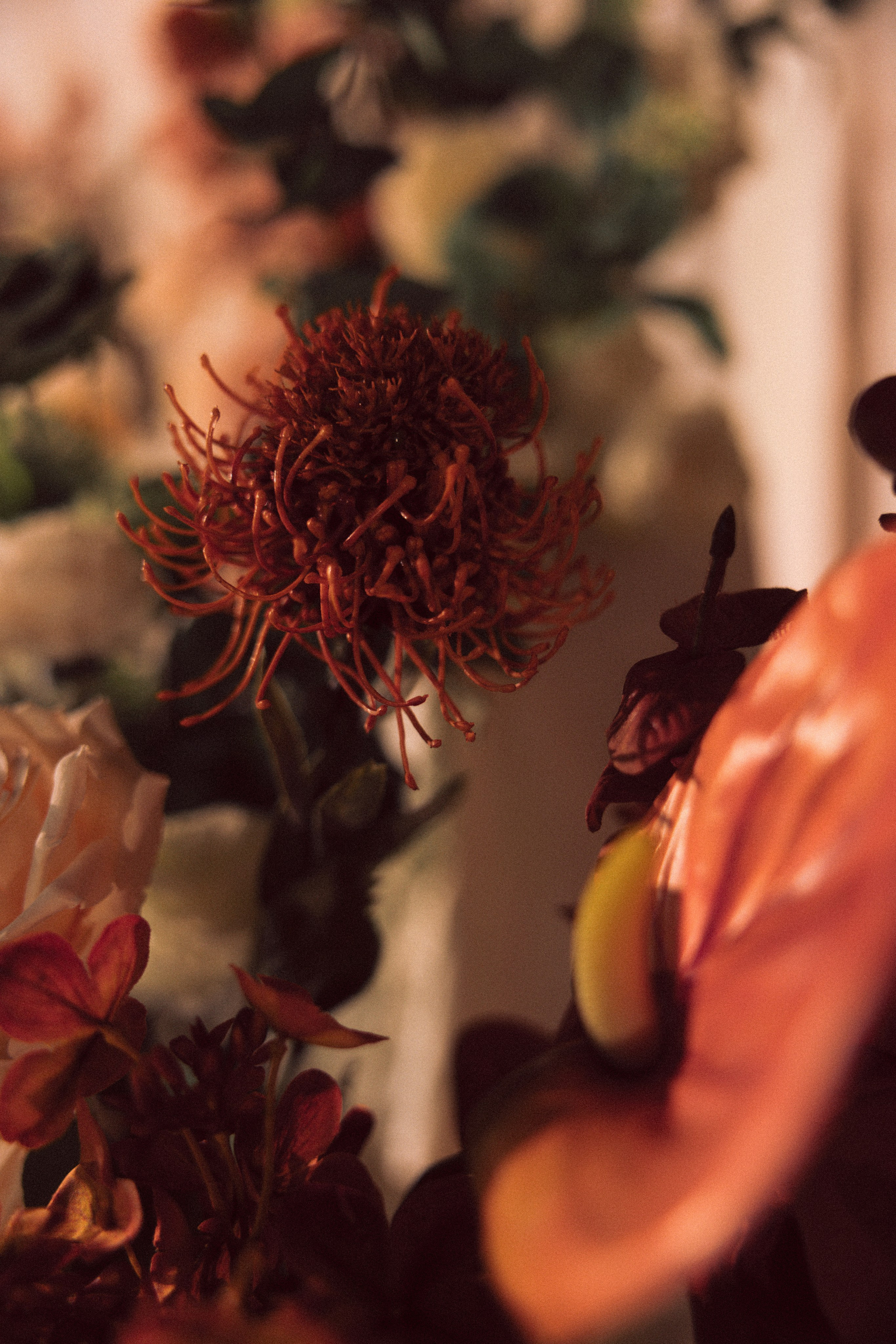 Свадьба Игорь и Анна. ФОТОГРАФ ИРИНА ШАМАТАВА