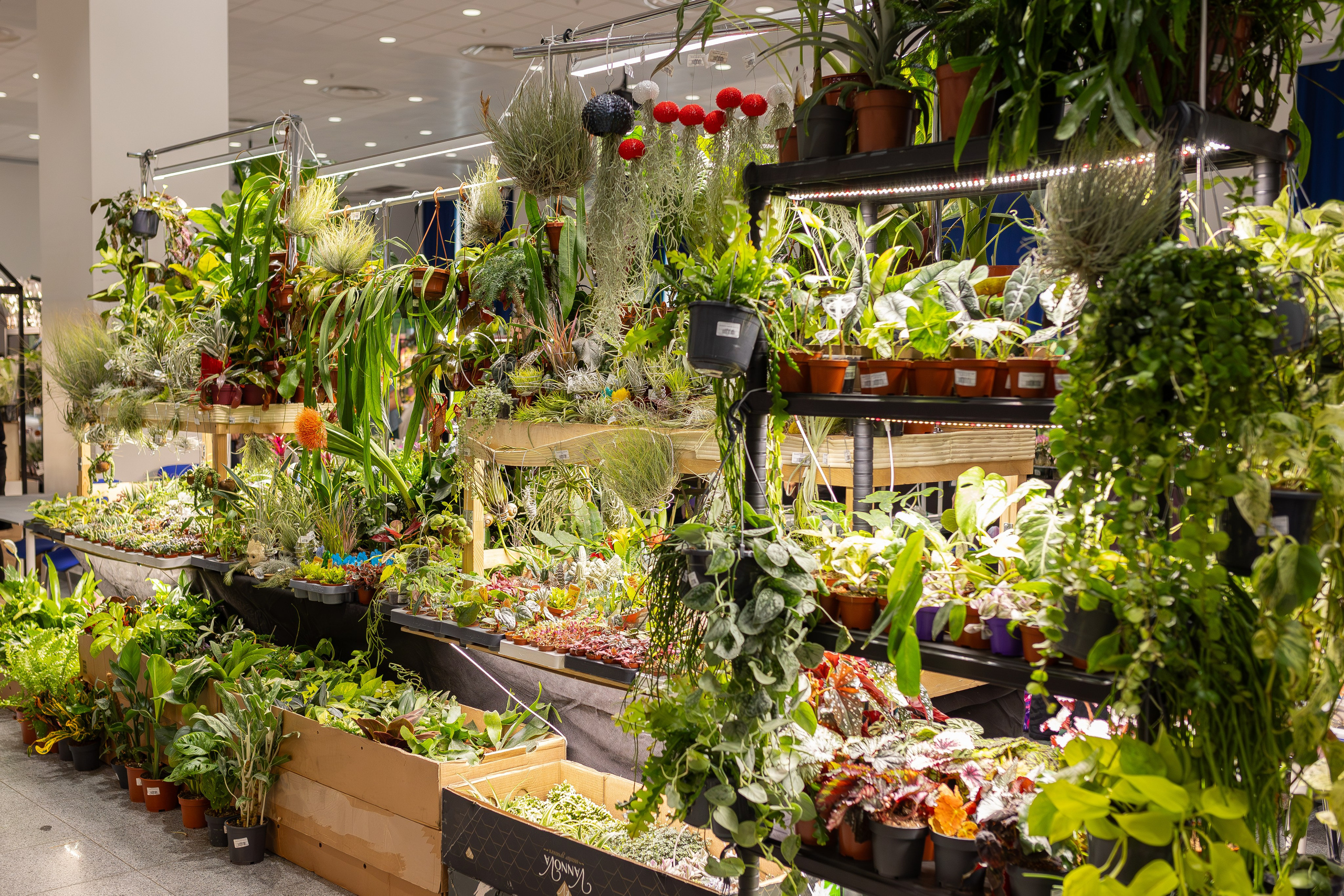 Монстериум апрель 2026. Александра Куликова фотограф, Москва