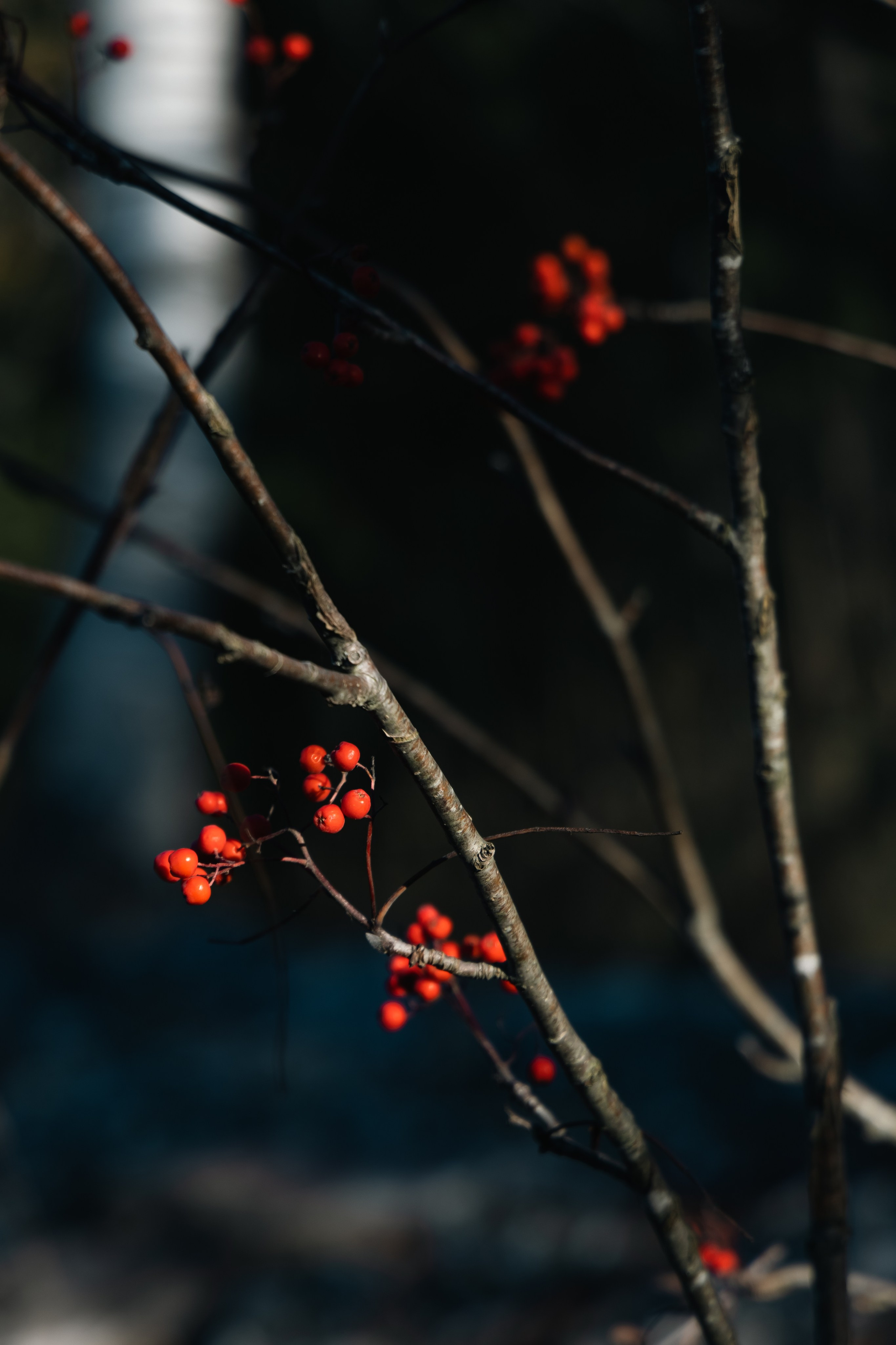 Рускеала. Портретный и уличный фотограф в Москве Таня Корнеева