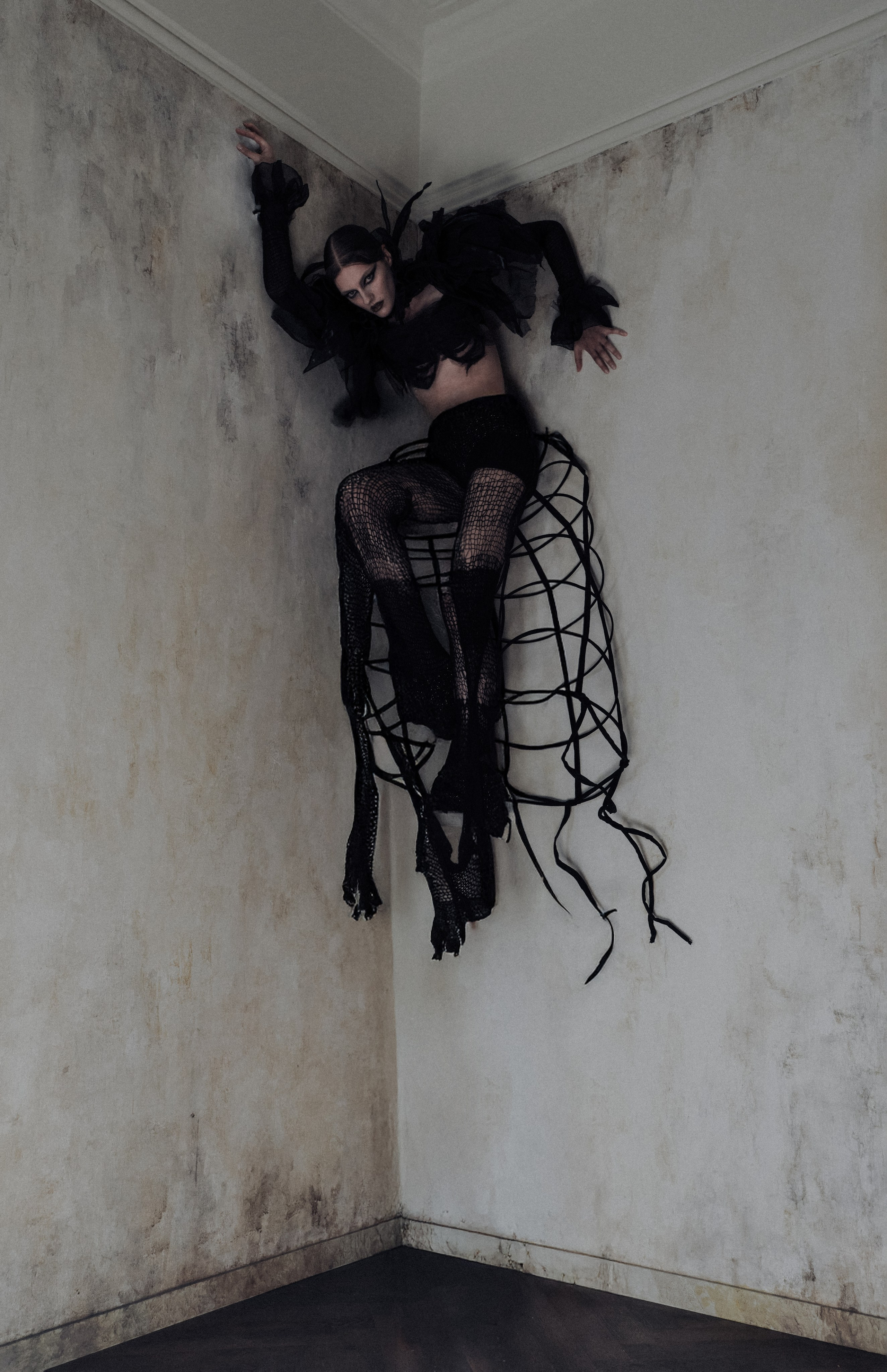Паук. Фотограф Anita Mivchas
