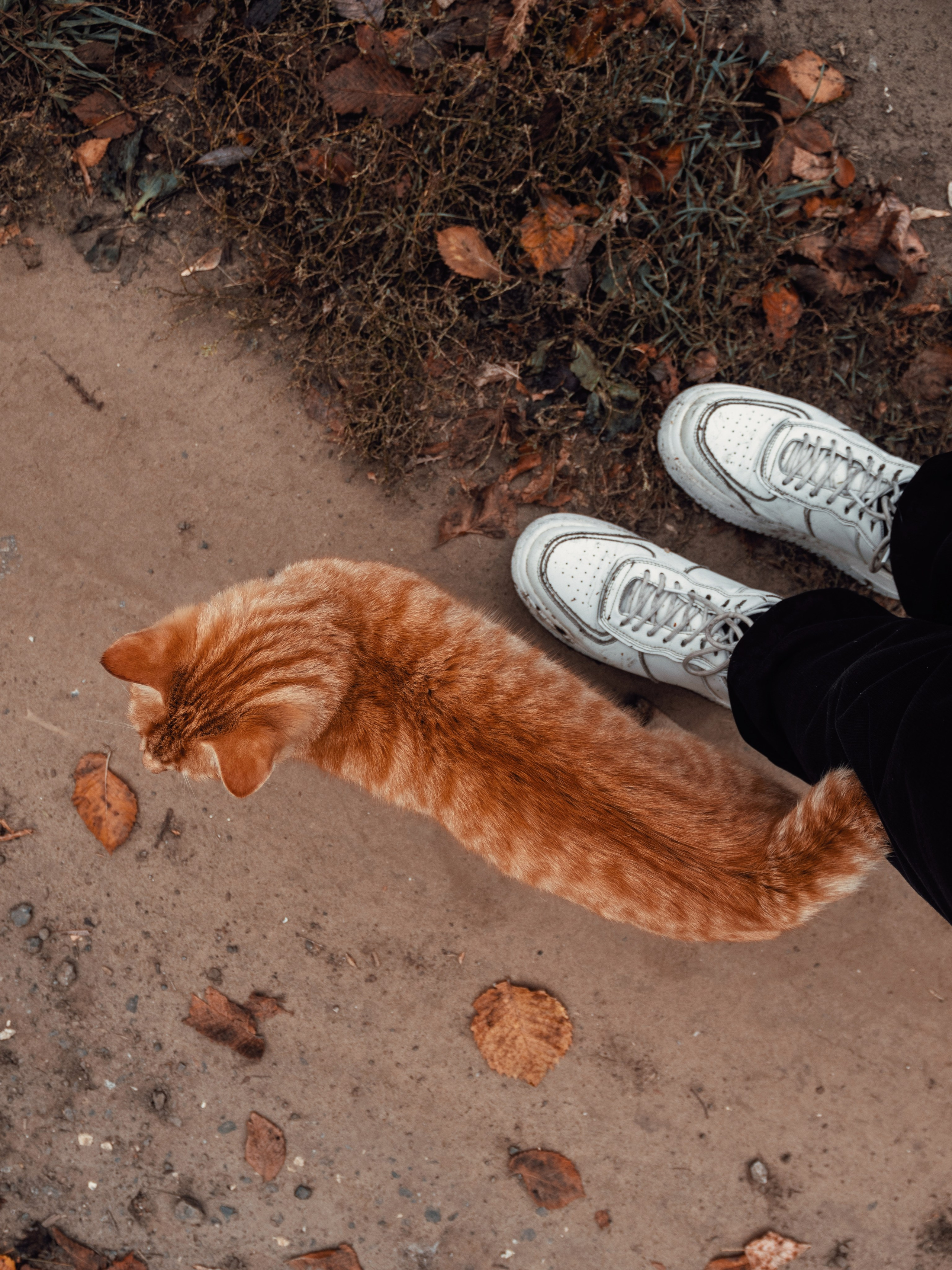 Уличные модели. С любовью, фотохудожник