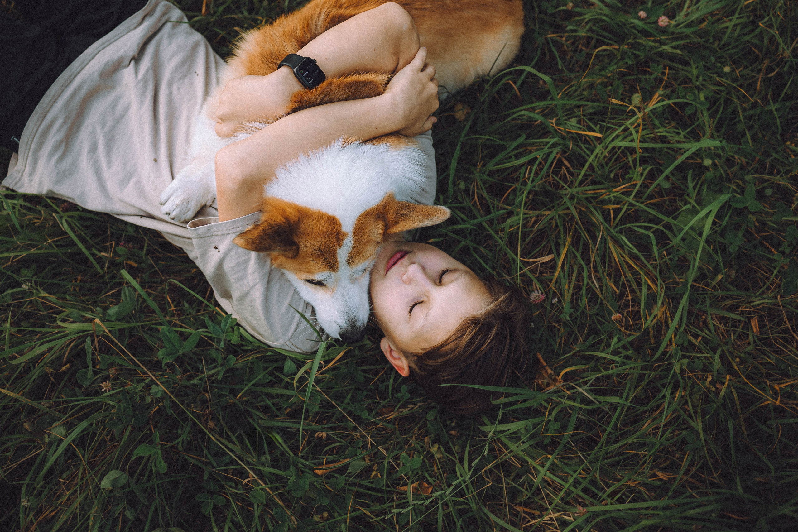 Арчи и его семья