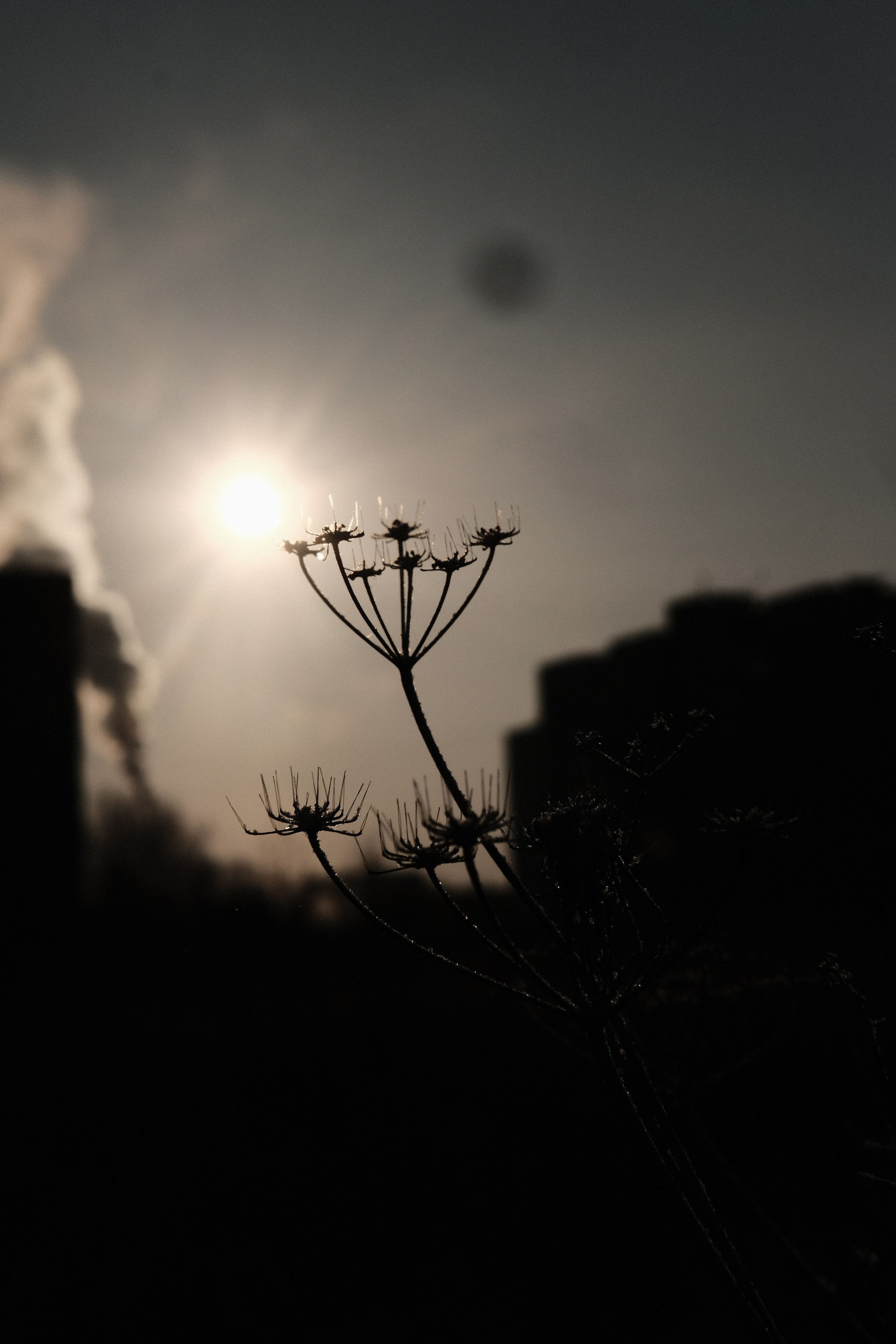 Наблюдения. Семейный фотограф в Новосибирске Артём Кузнецов