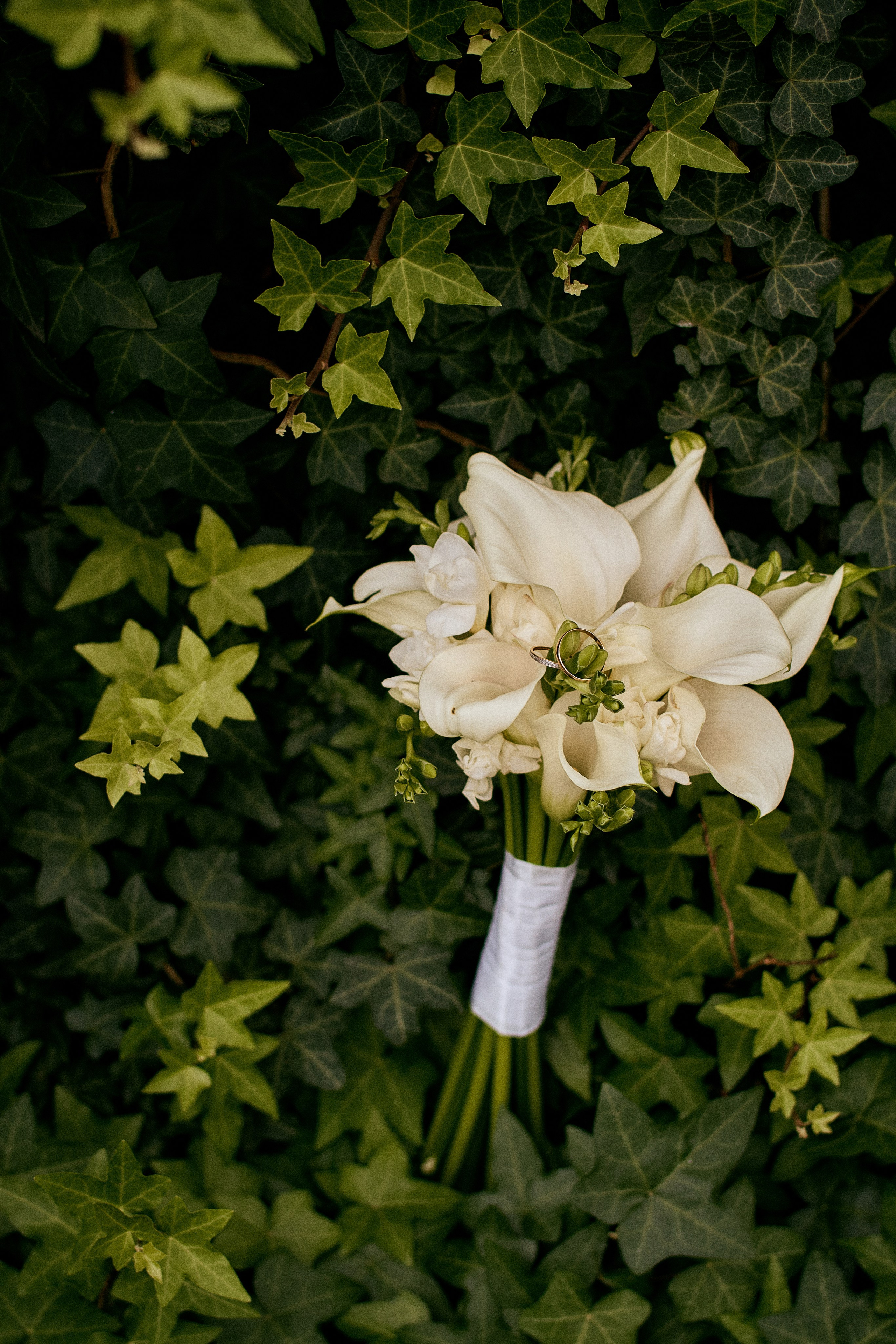Творили в Таврическом. Свадебный фотограф Анастасия Лахтионова