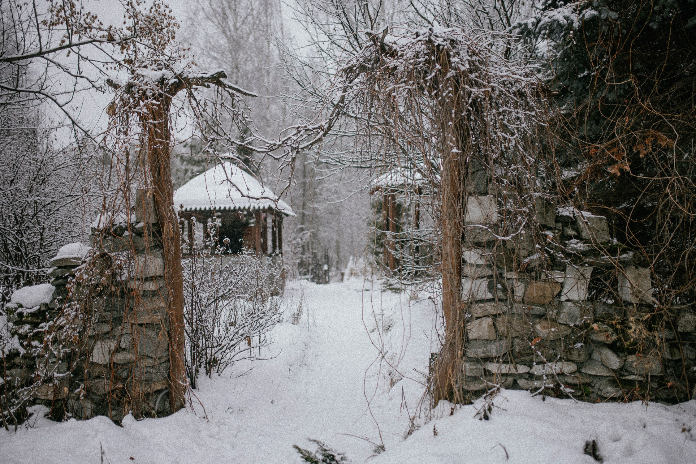 Зал «Сад» фотостудии «Зачарованный Сад» в Екатеринбурге — природная локация для фотосессий. Фотостудия «Зачарованный Сад» в 20 минутах от центра Екатеринбурга