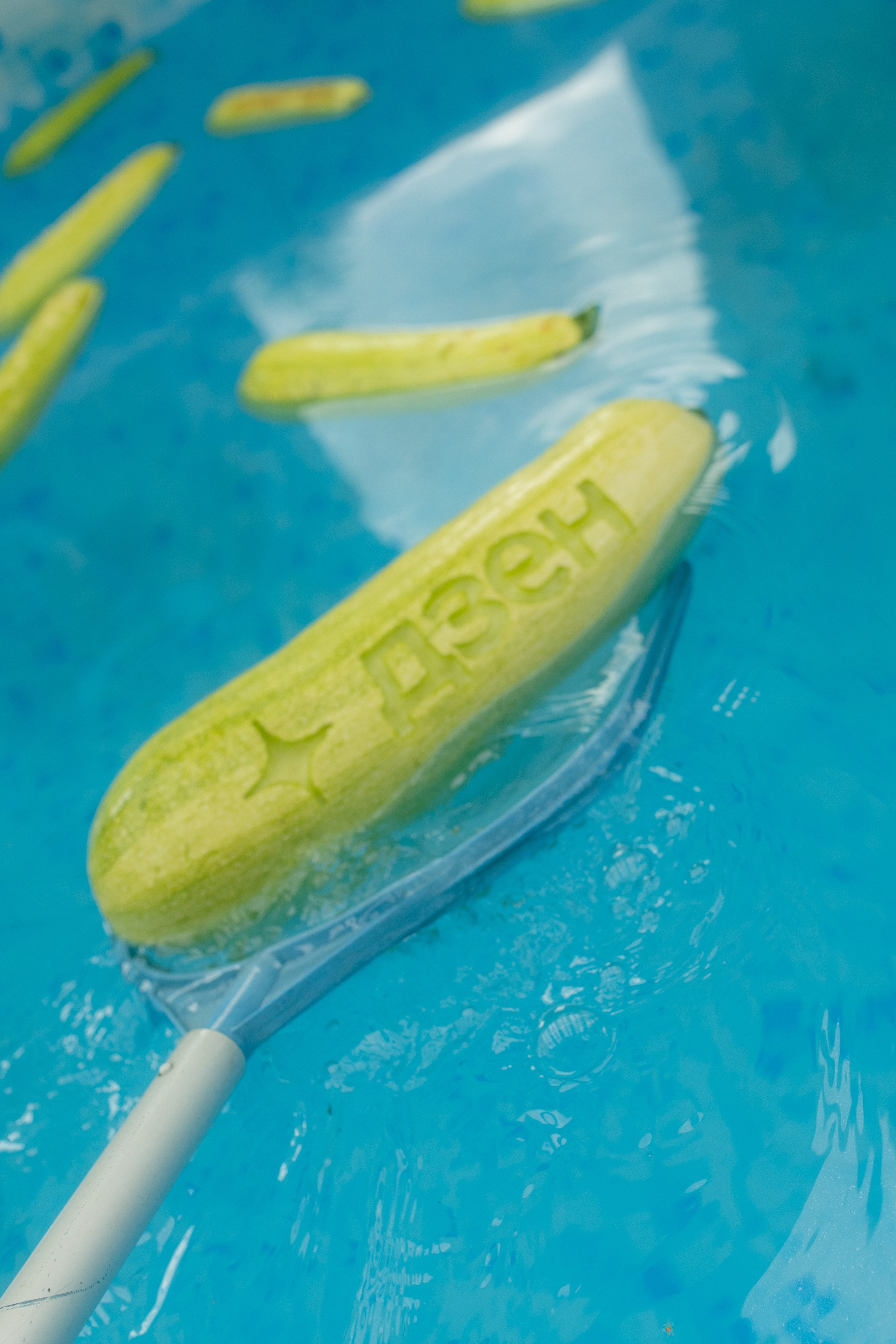 Яндекс Дзен. Предметный фотограф Москва Глухарёва Оля