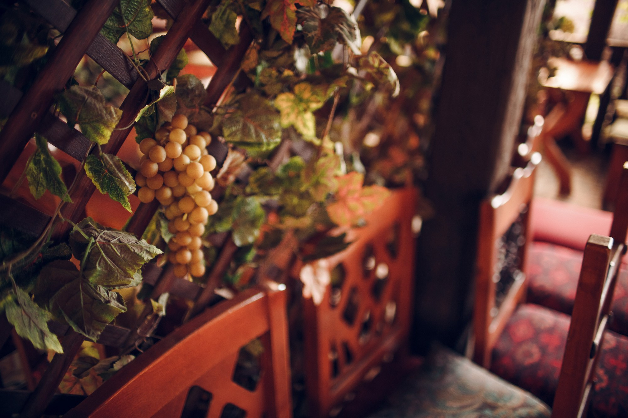 «Шеш беш». Ваш репортажный фотограф Артемий Антонов