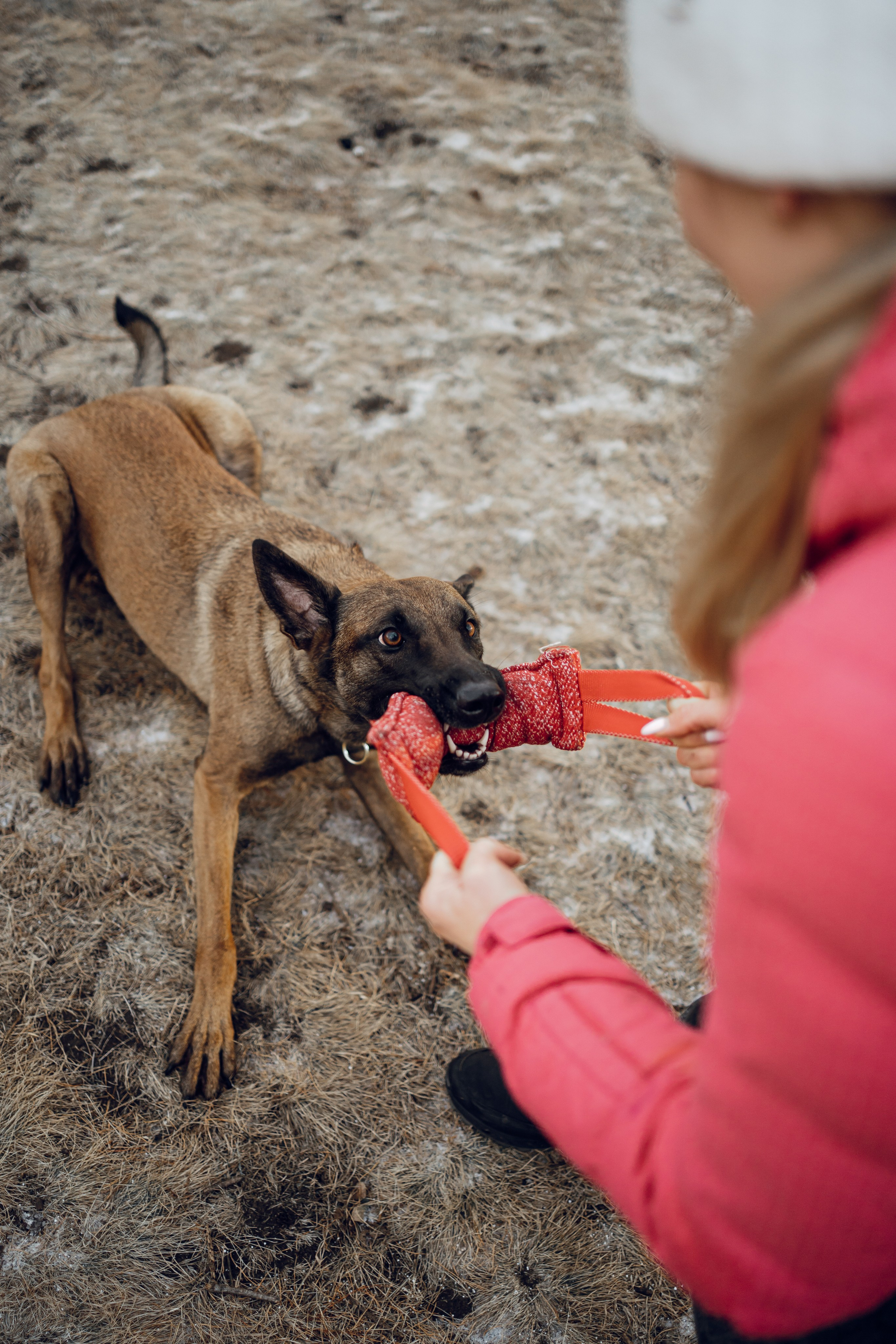 Екатерина и Барди. Фотограф-анималист Анастасия Большакова
