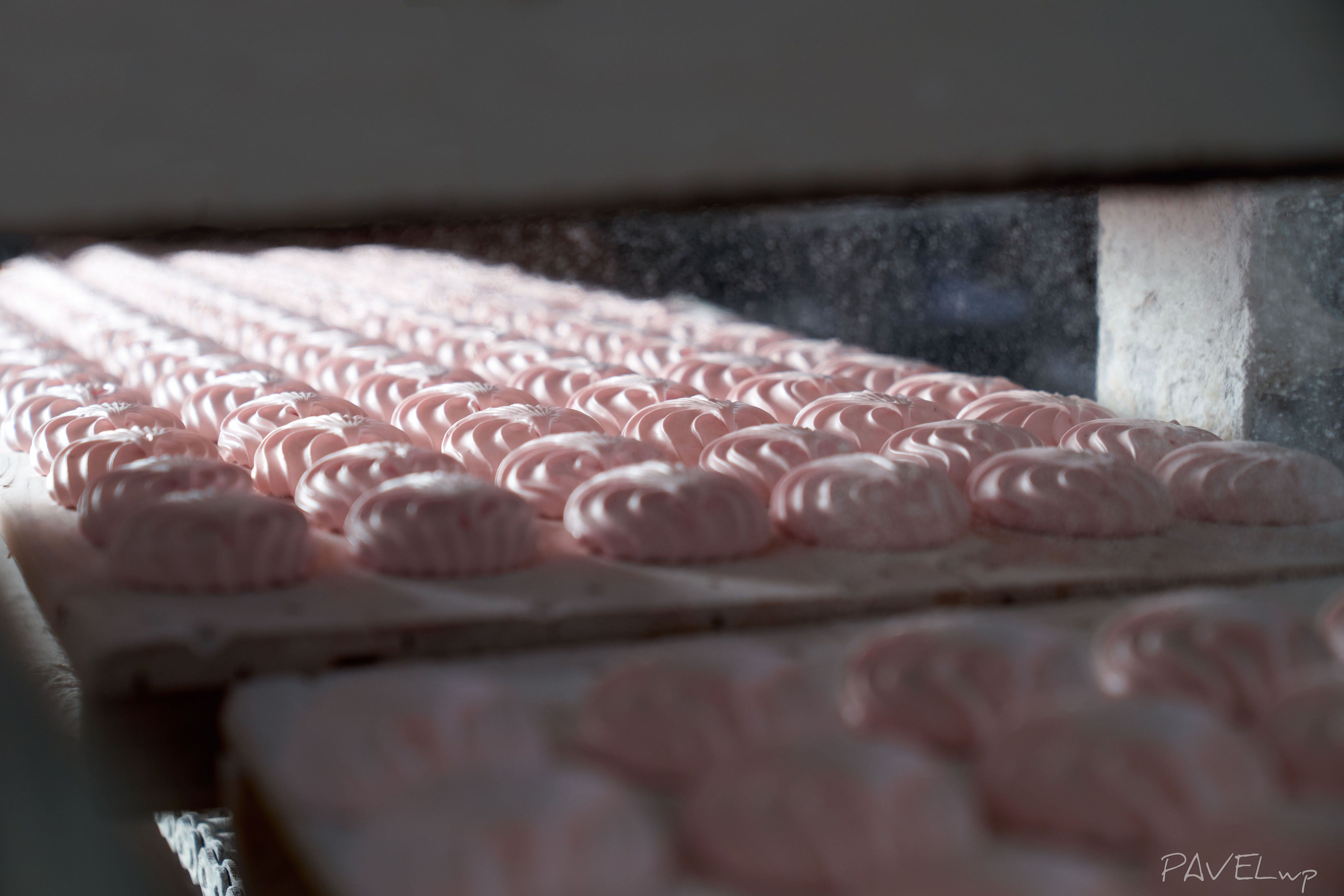 Production. Pavel Stepanov photo, video, drone filming