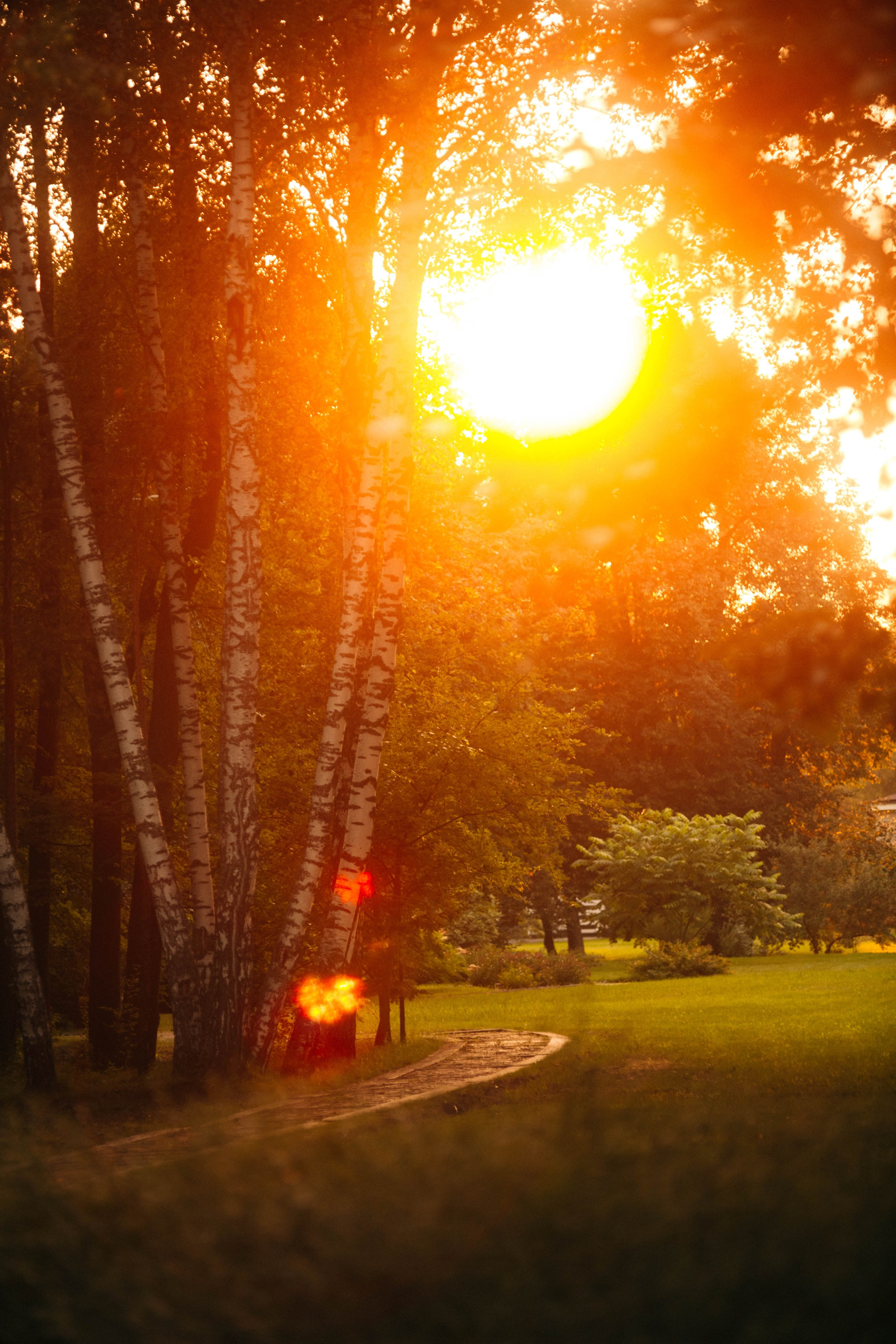 Вместе ♥. Арт-фотограф Крис Л. в Тобольске: портрет, семейные, свадьбы