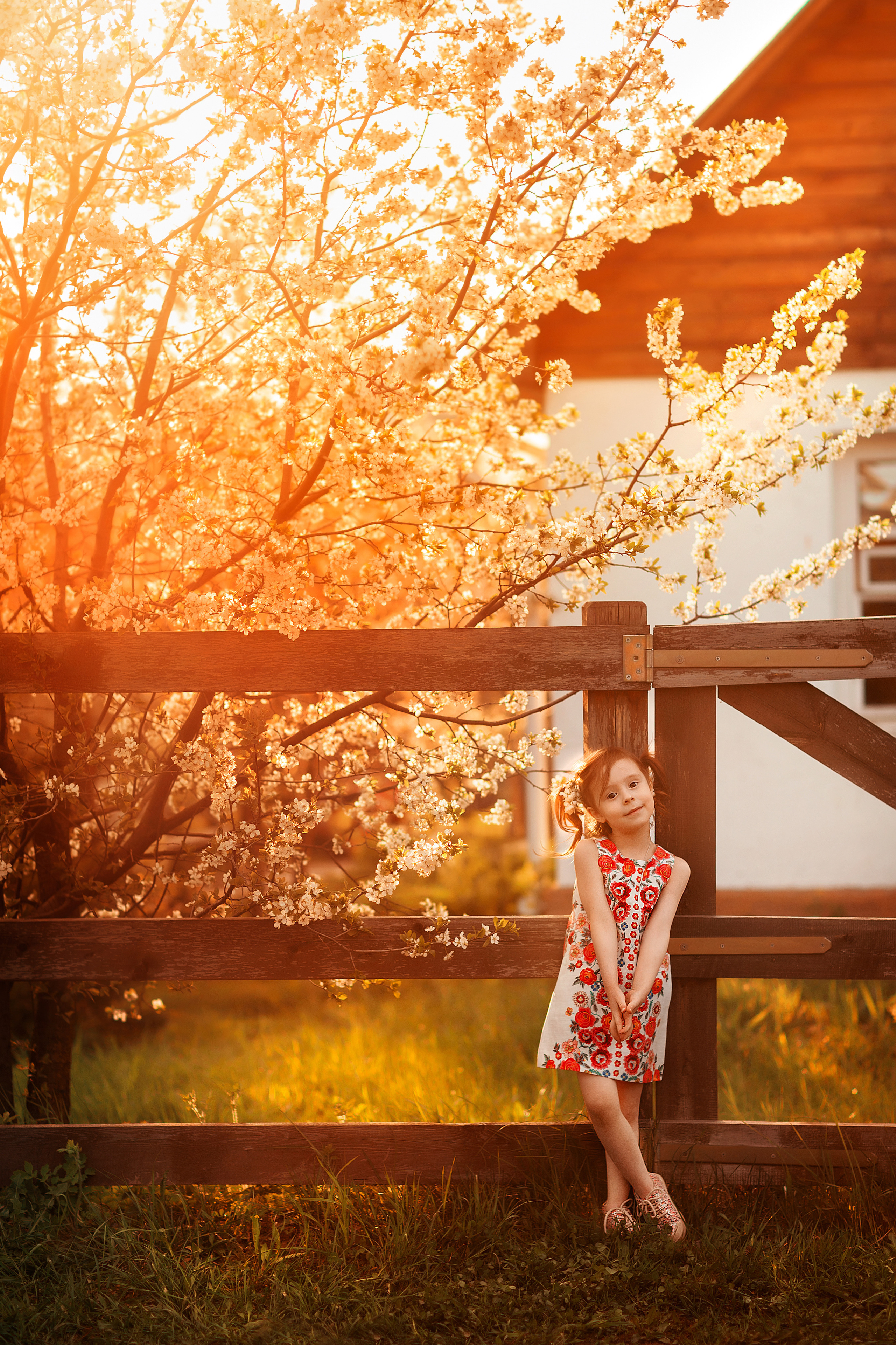 Фотограф Анастасия Малютина