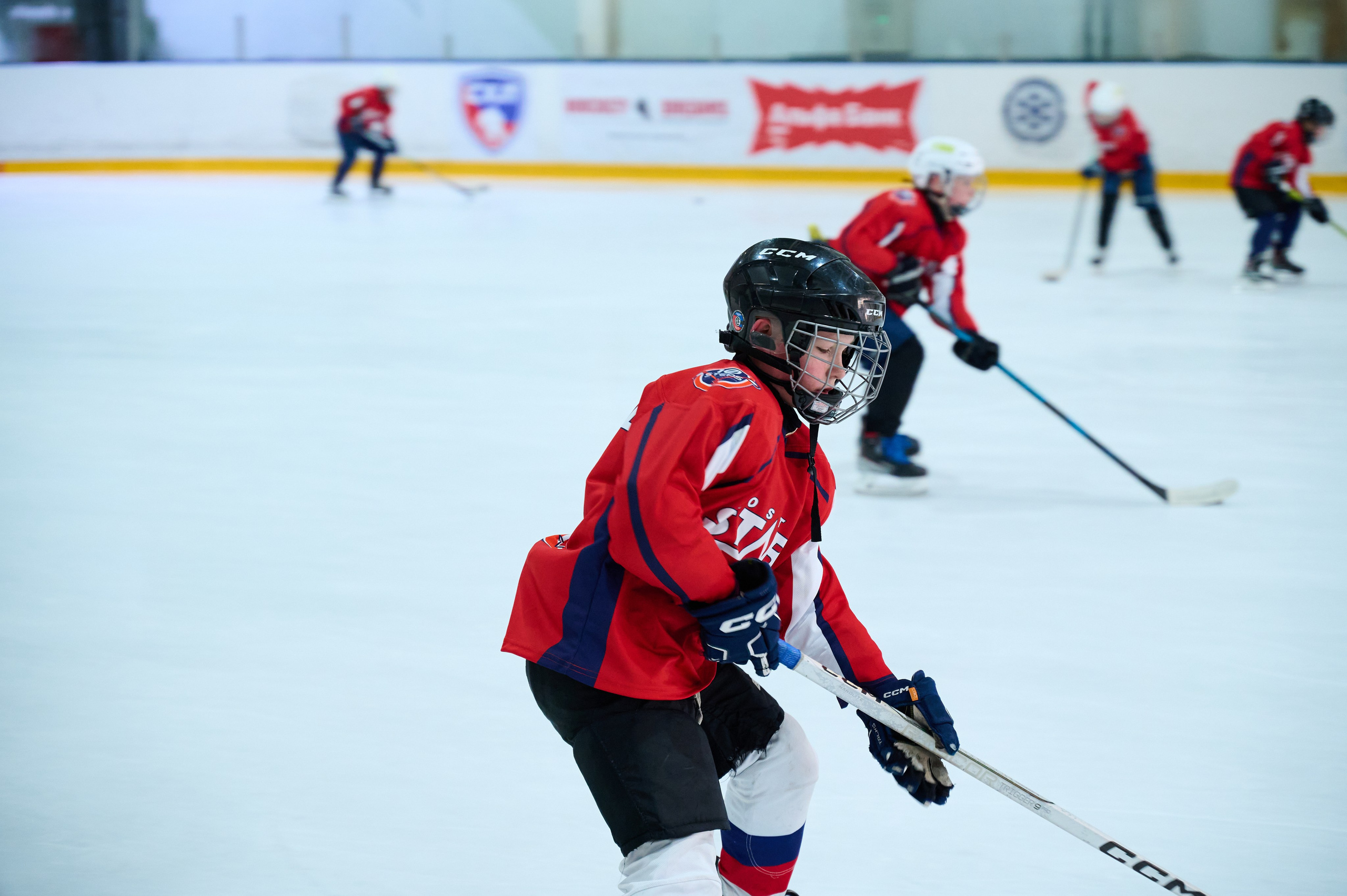 Boston Stars. Фотограф Универсал в Новосибирске