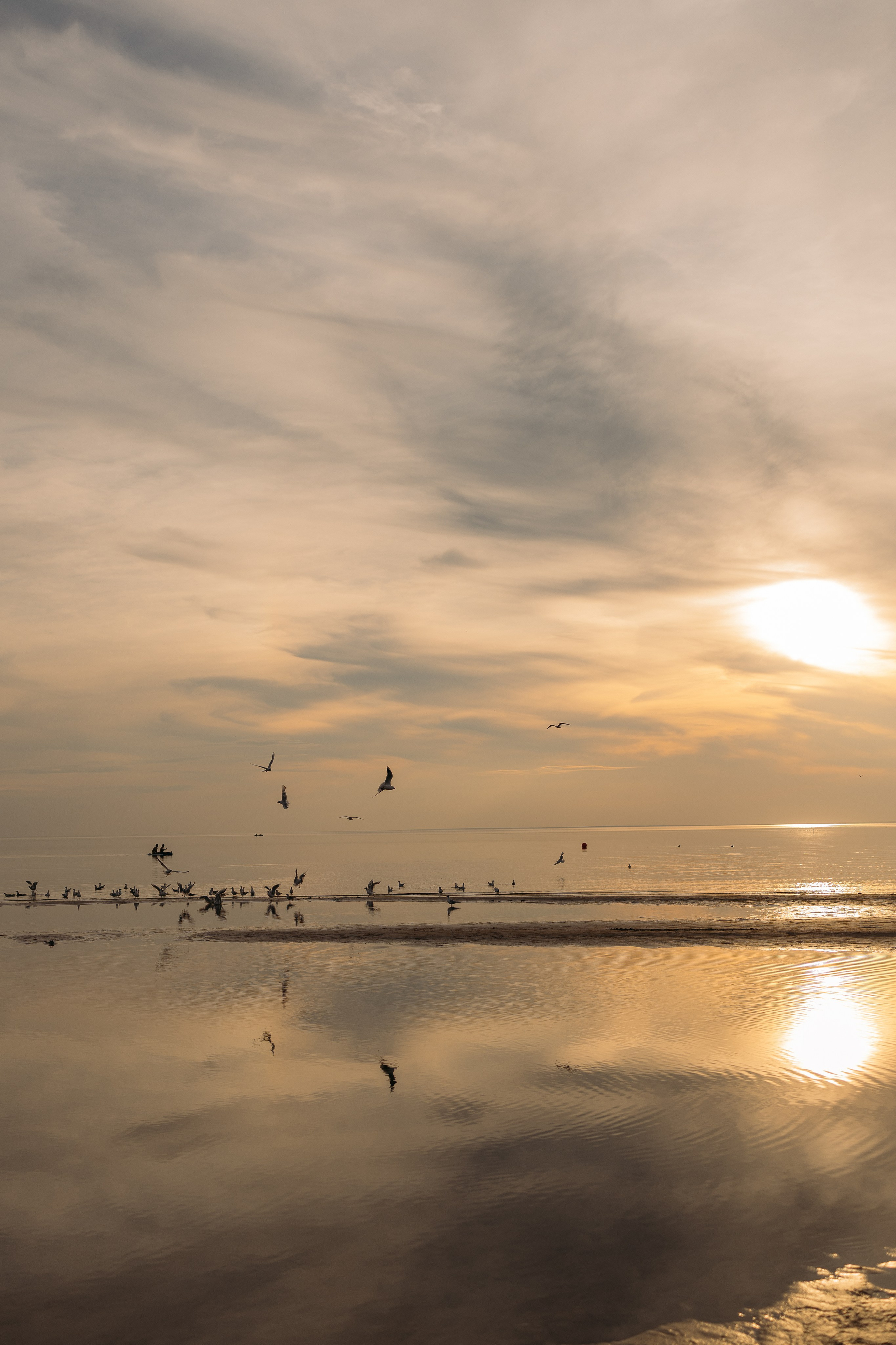 Мечтатель. Семейный и детский фотограф в Санкт-Петербурге — Лаврова Ольга