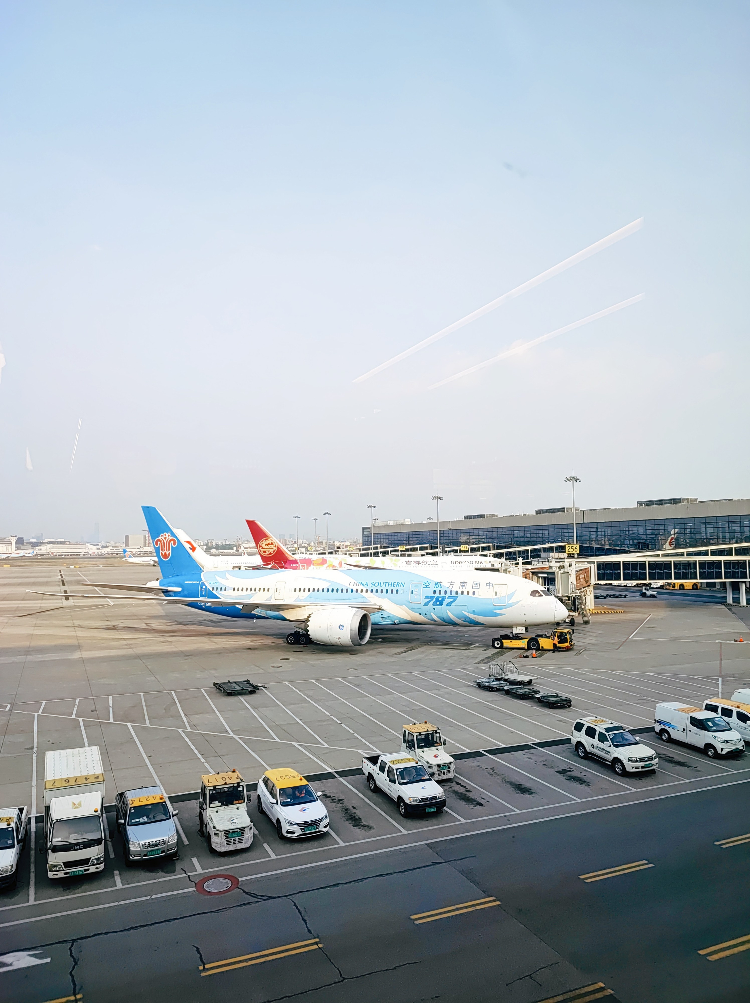 Намобилкус китайский. Репортажный фотограф Алексей Пирязев