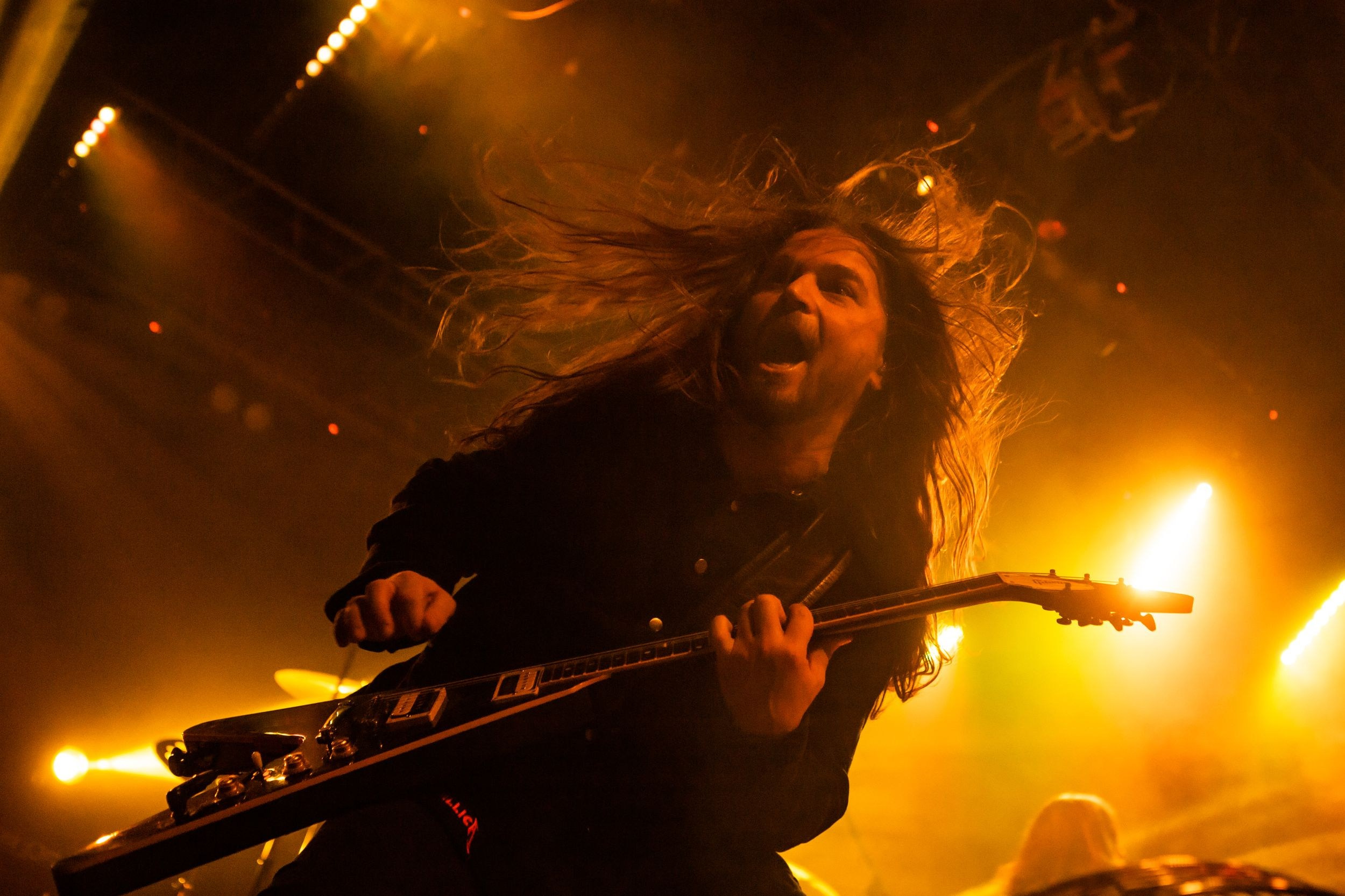 Animal ДжаZ. Репортажный фотограф Алексей Пирязев