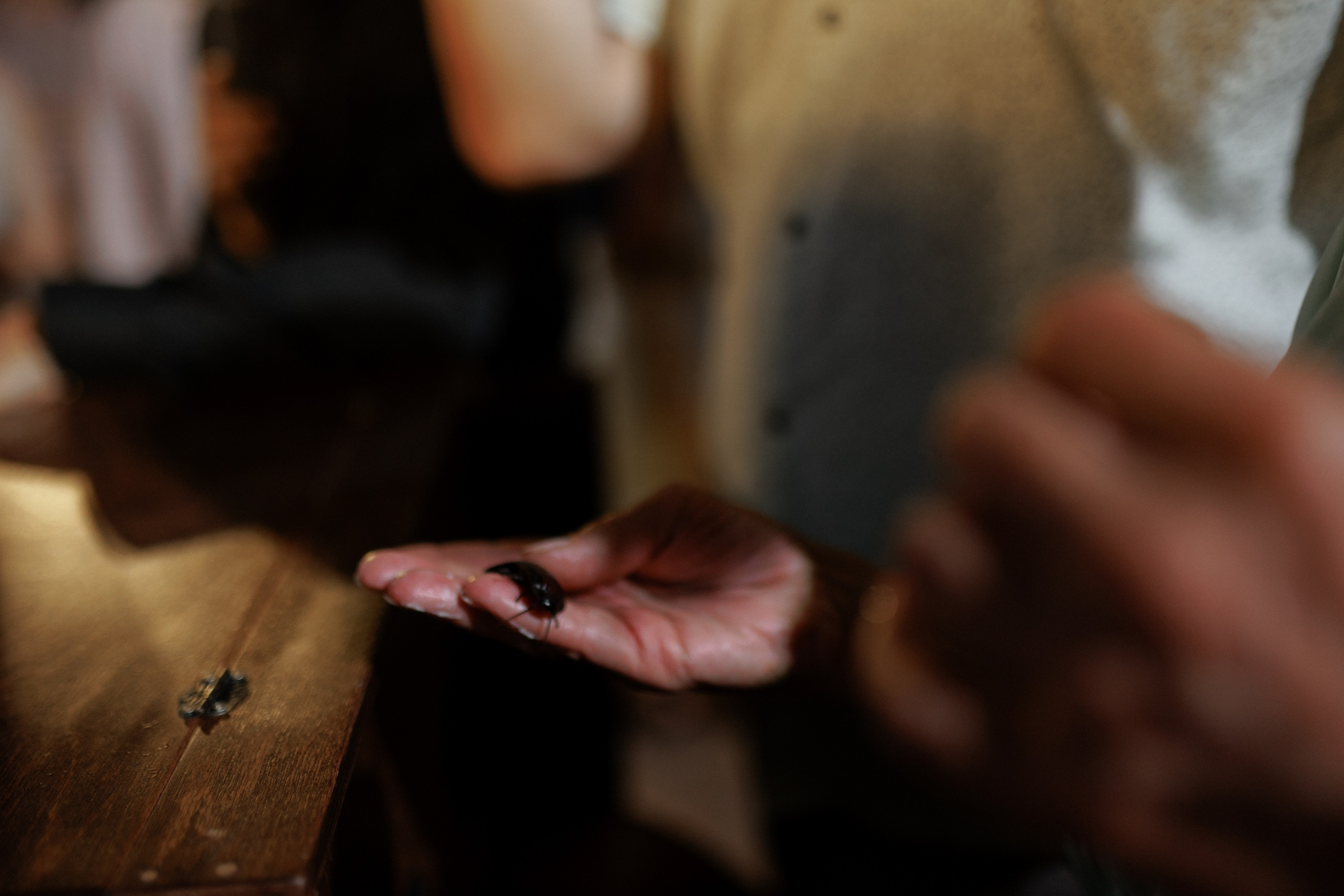 Артур и Анастасия. Свадебный и репортажный фотограф г. Чебоксары Евгений Леонидович