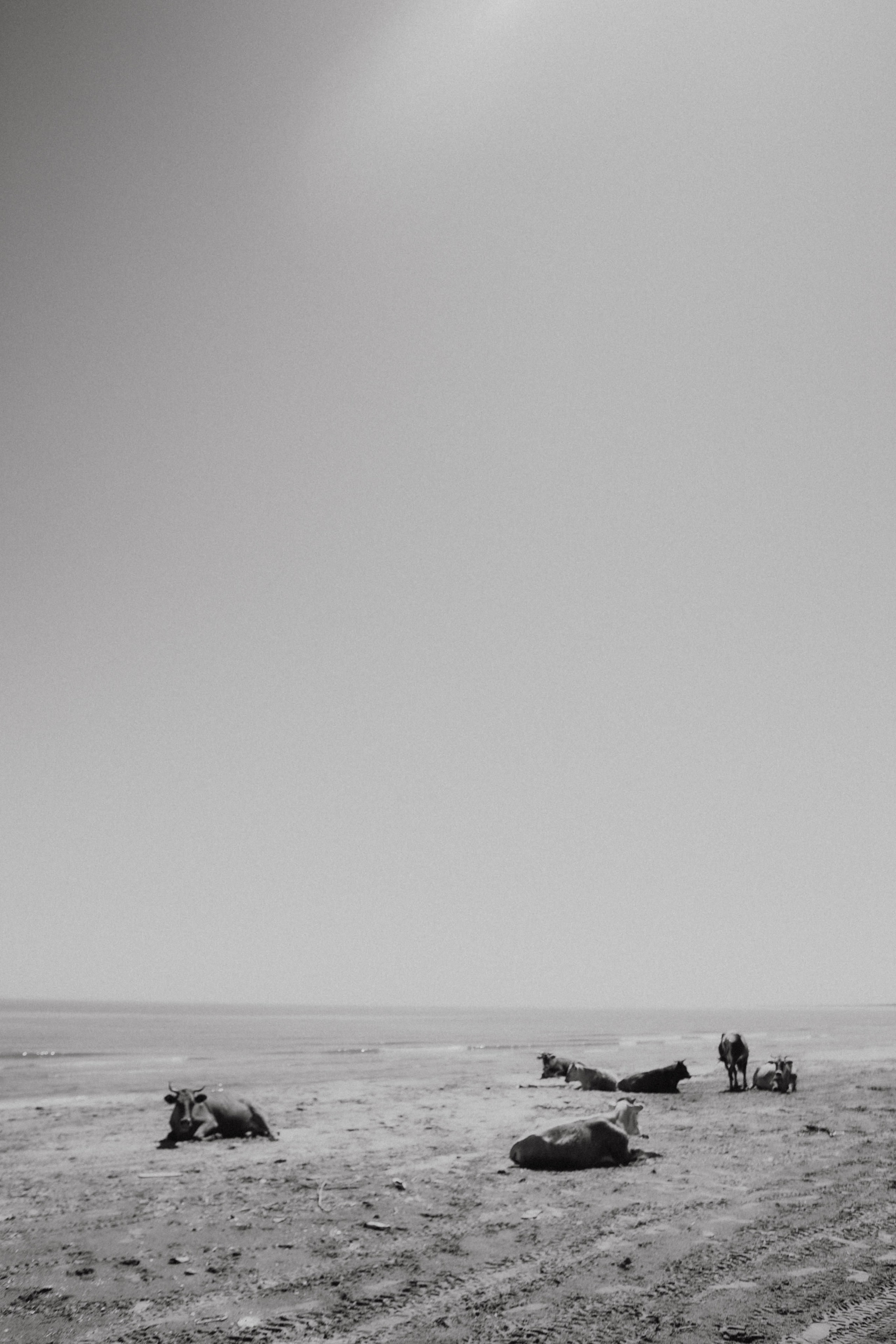 Дагестан. Чечня. 2024. Фотограф в Нижнем Новгороде