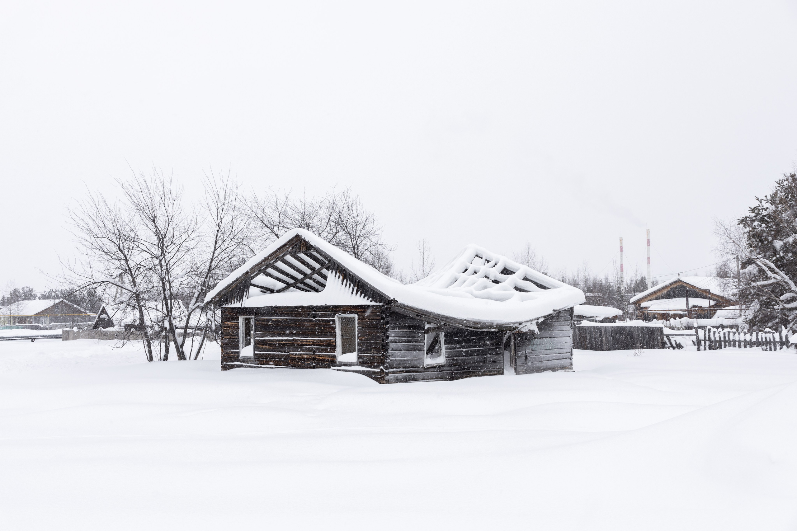 Numto (2026). Documentary photographer Anton Zdanovich
