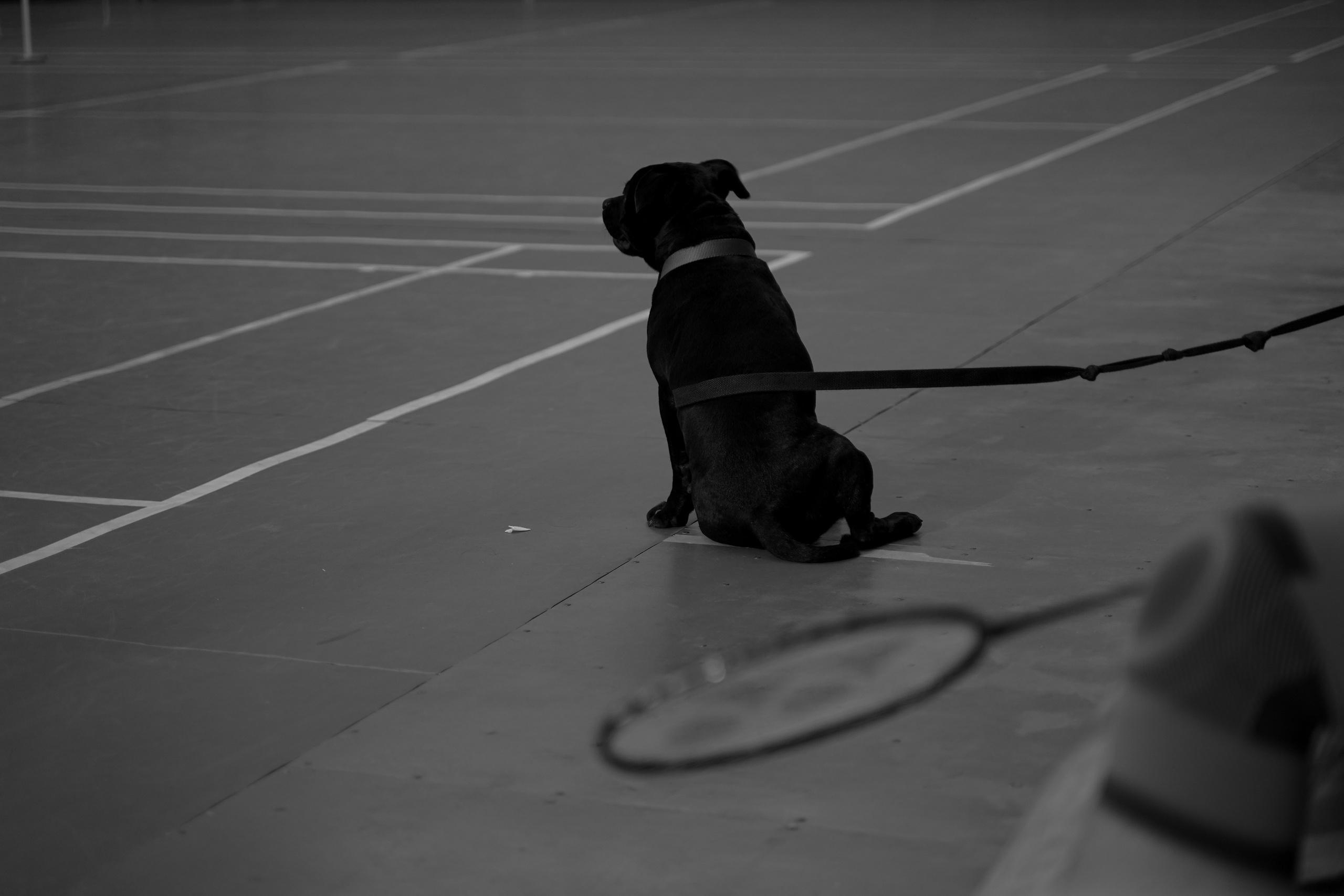 Moscow Badminton Community. Camp. Katyavasileva