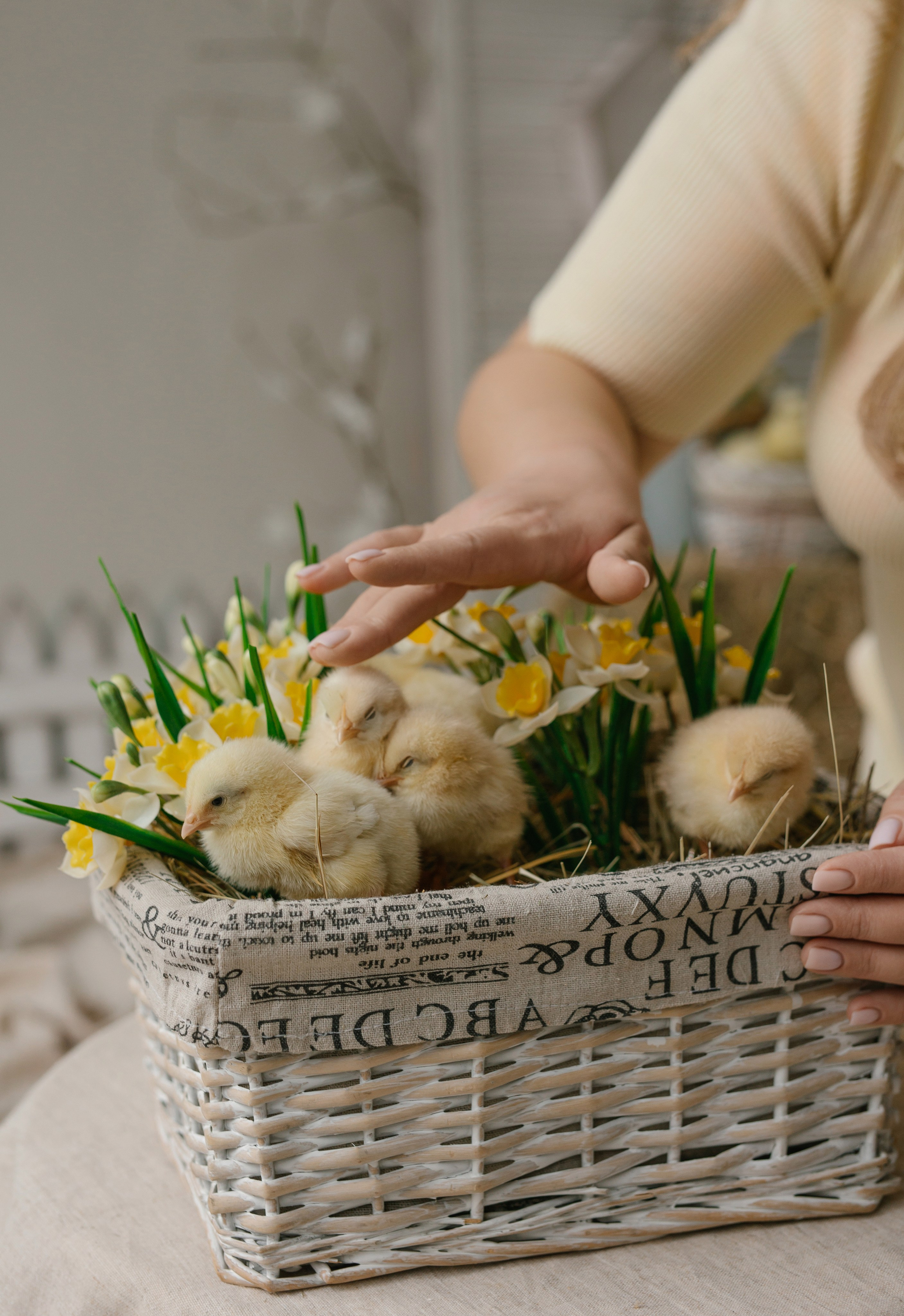 Фотопроекты. Фотограф в Нижнем Новгороде, Дзержинске Олеся Хозяева
