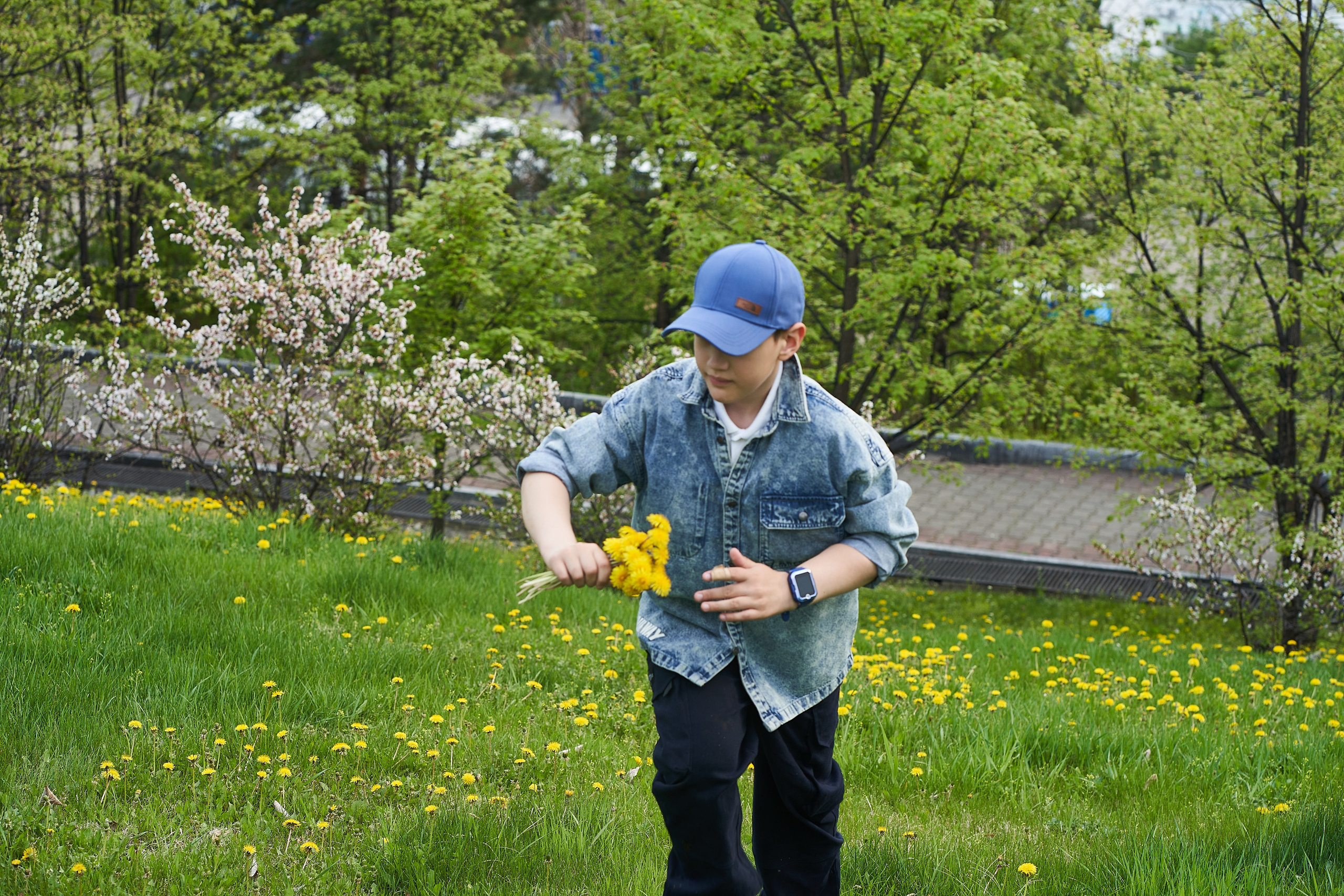 Прогулка в цветении. Анна Катасонова