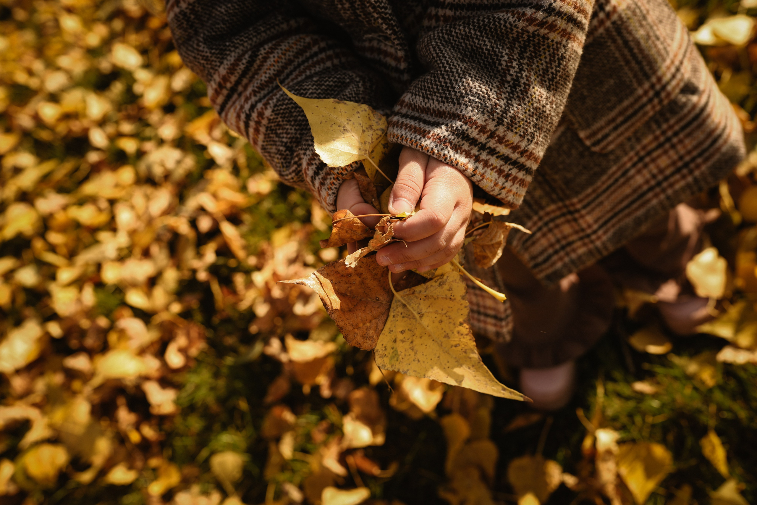 Людмила, Вита и Настя. Инна Вильт| лайфстайл фотограф из Новосибирска
