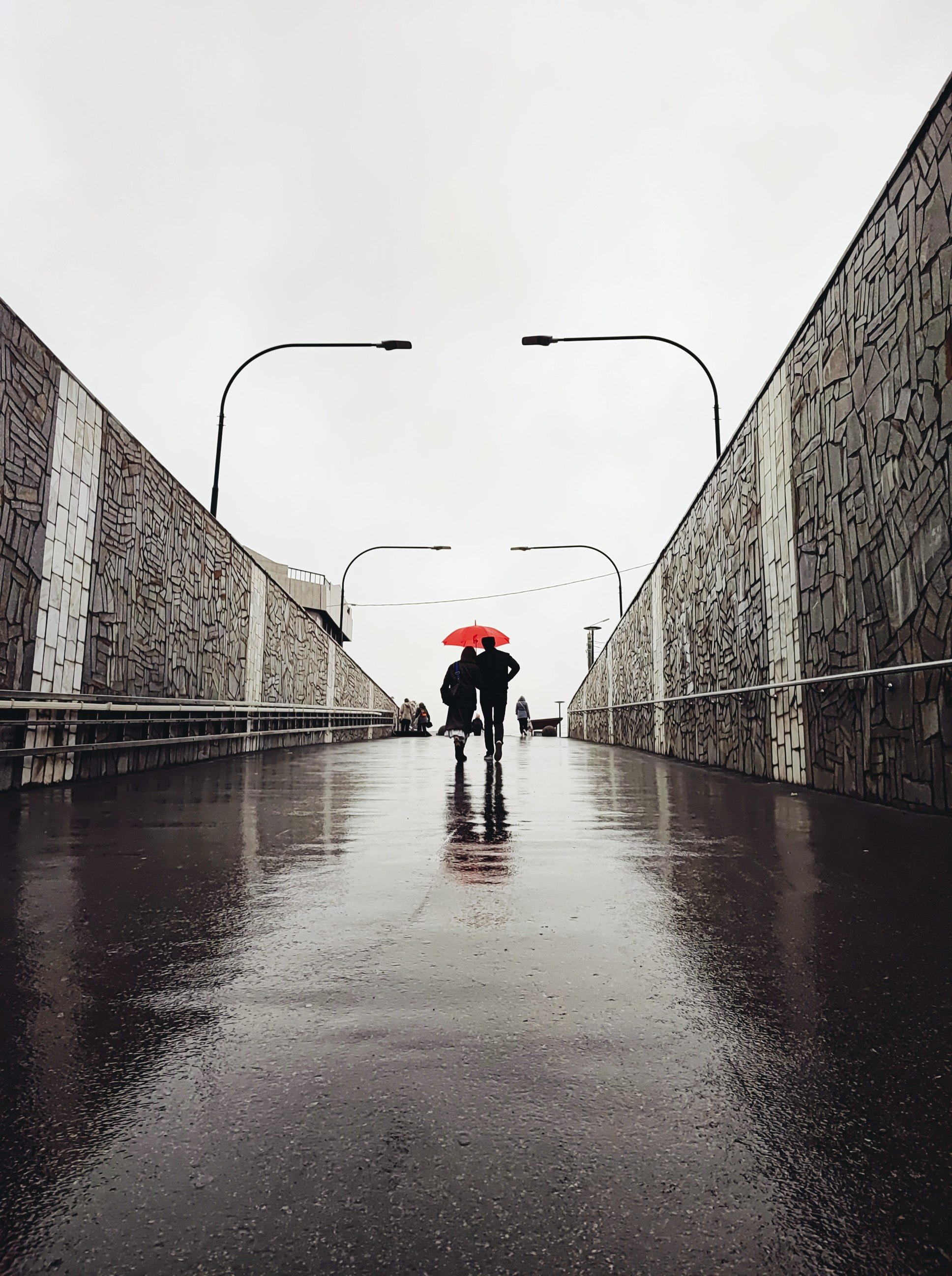 Намобилкус тульский. Репортажный фотограф Алексей Пирязев