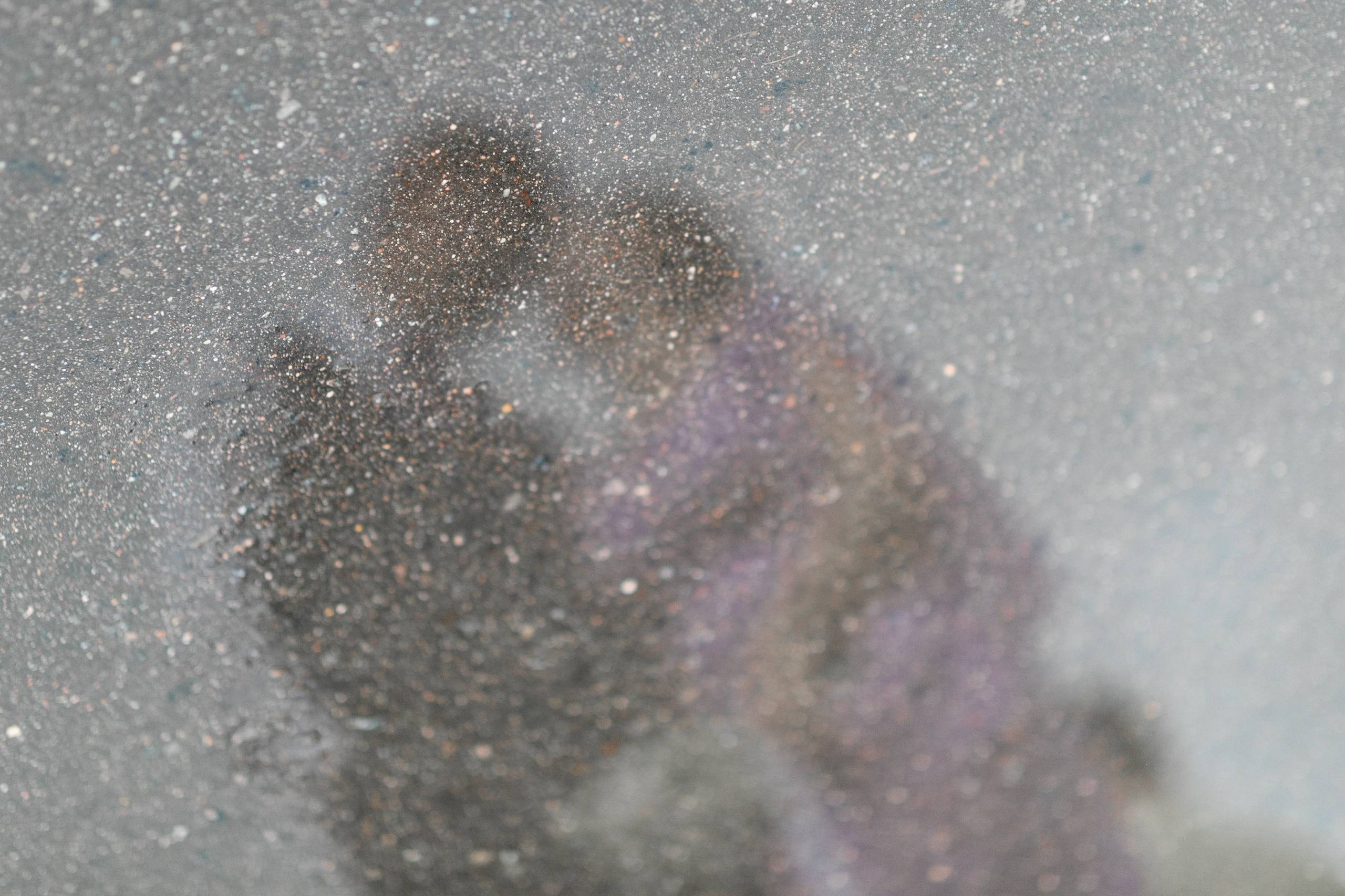 Максим и Анастасия. Фотограф FOTOBANKA