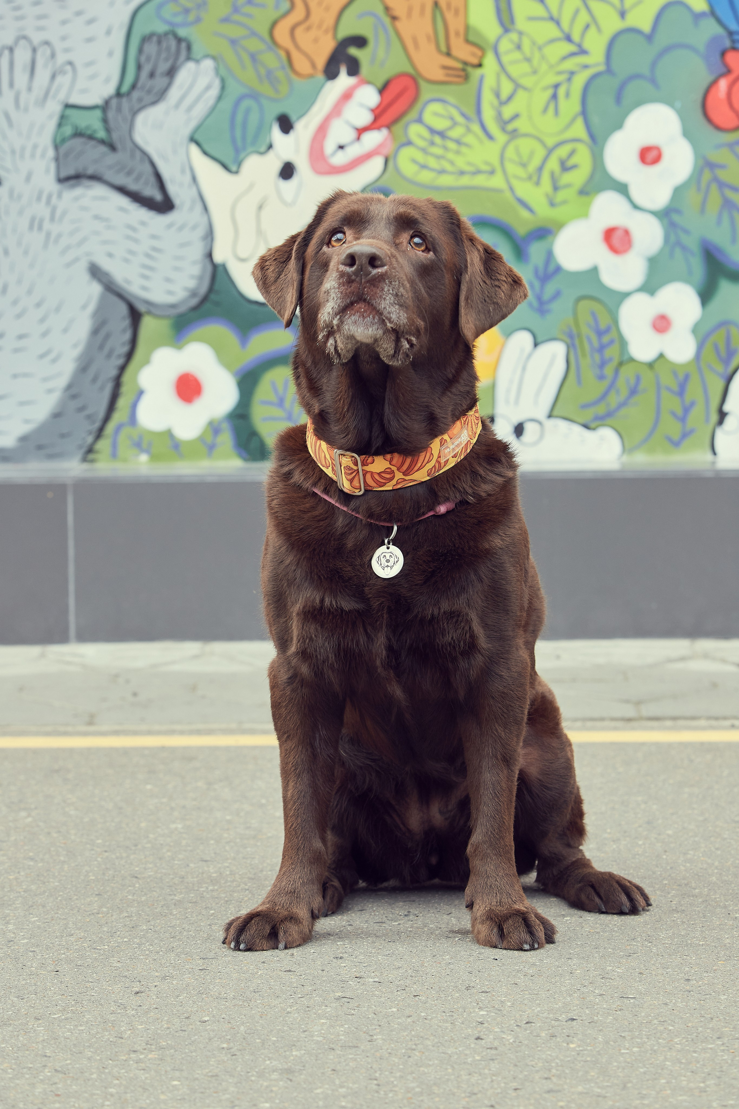 Портретная фотосессия Софы и питомцев. Екатерина Осипова — профессиональный фотограф в Москве