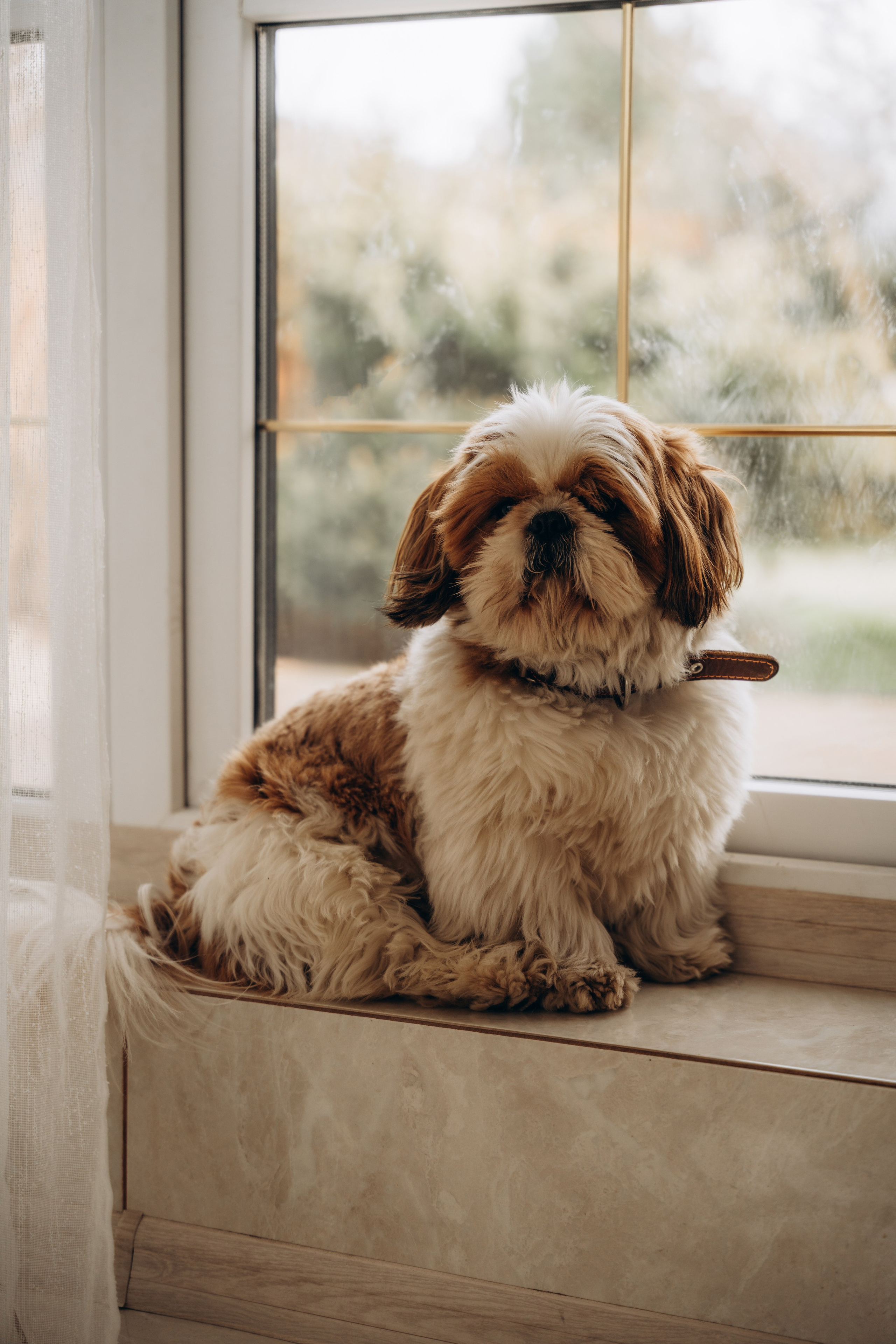 Лера и Михалиша. Фотограф Мария Миллс | Минск